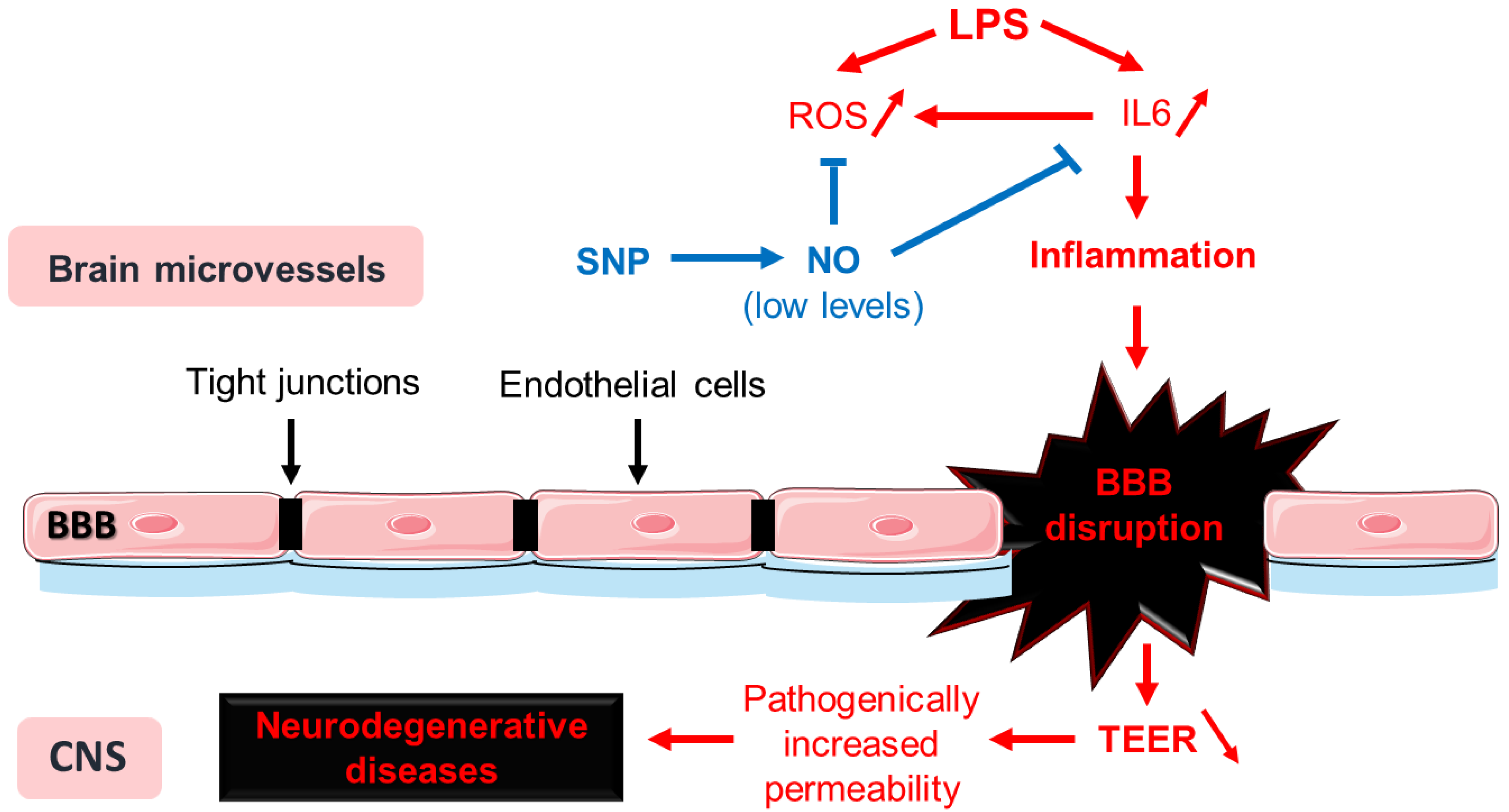 Cells 13 00843 g009 Cells 13 00843 g009