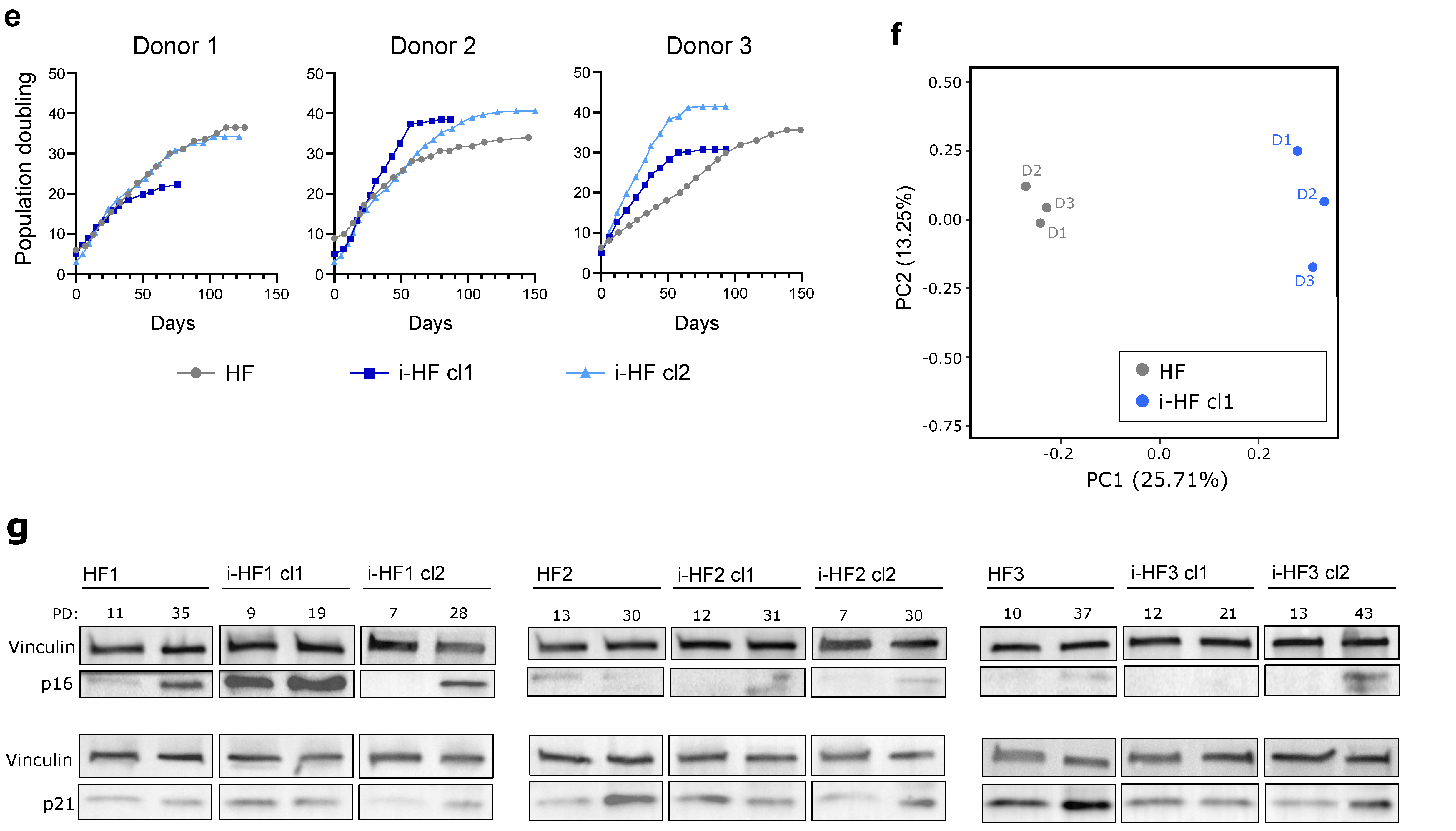 Cells 13 00849 g001b