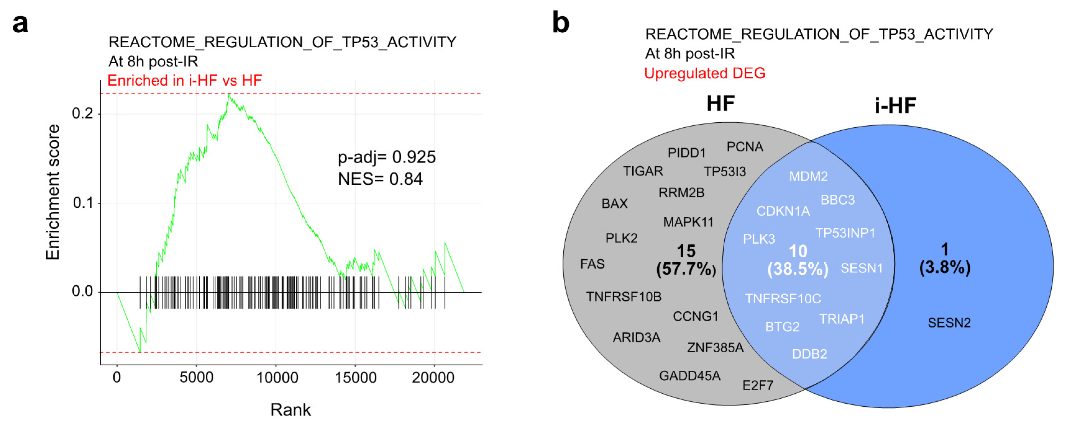 Cells 13 00849 g002a