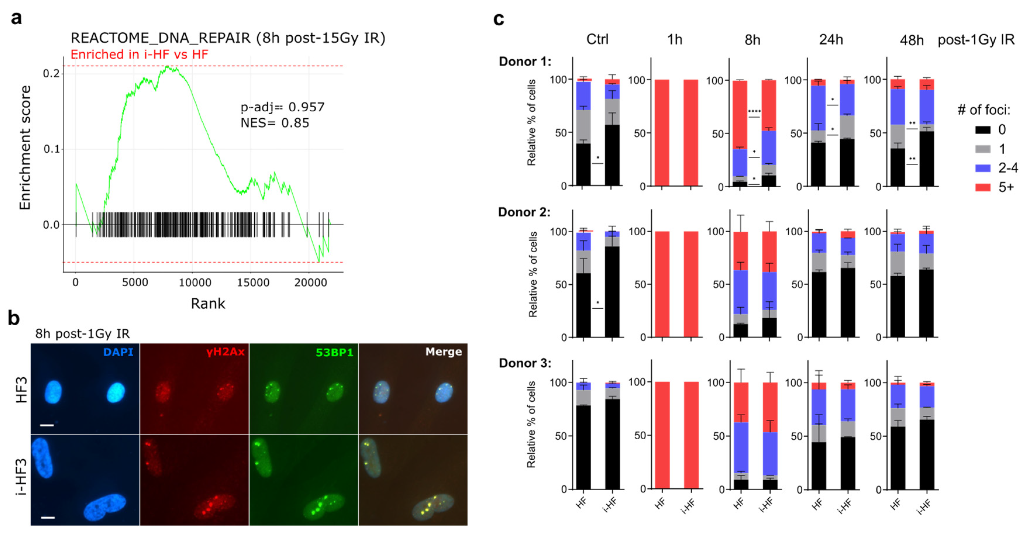 Cells 13 00849 g005a