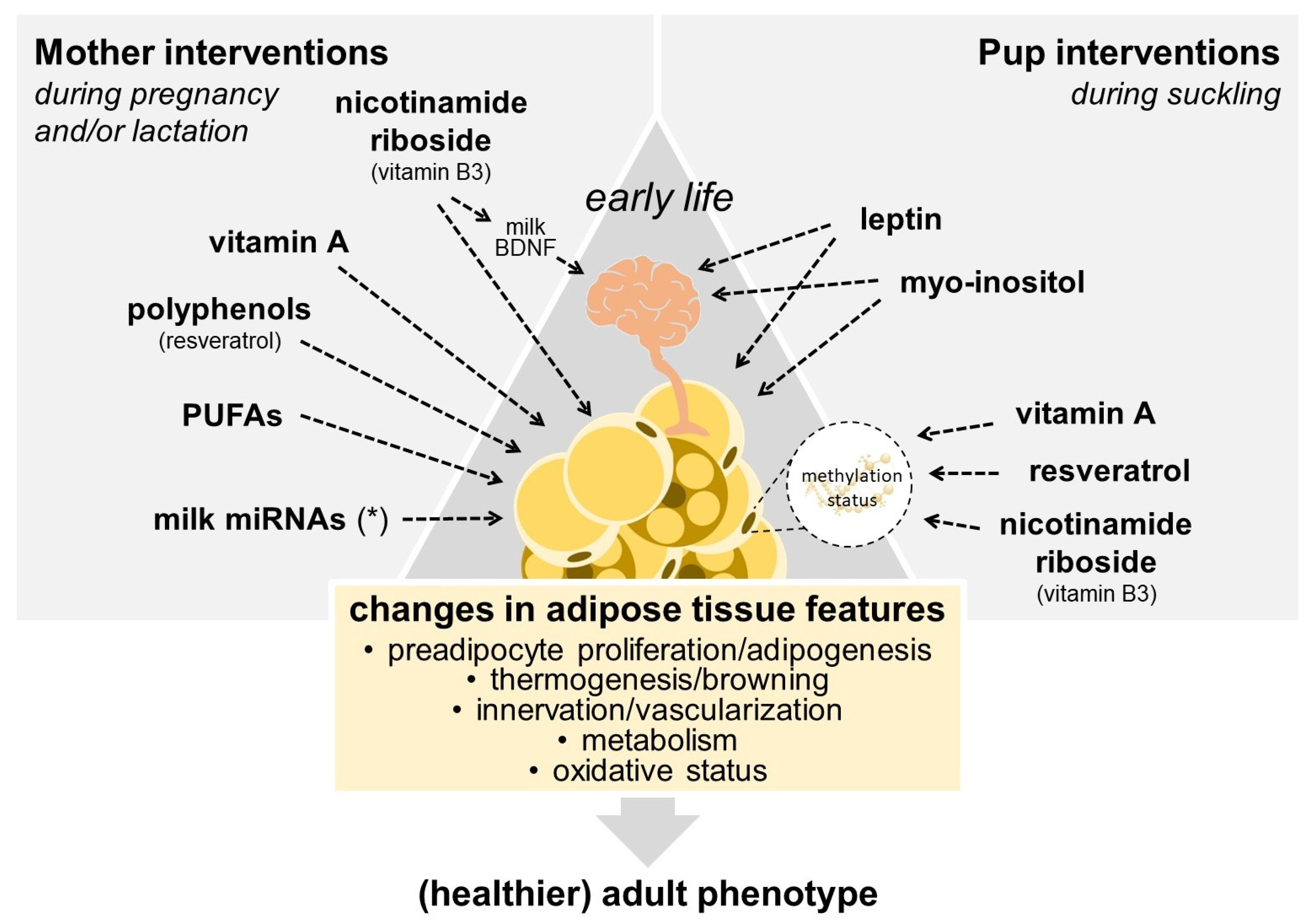 Cells 13 00870 g001 Cells 13 00870 g001