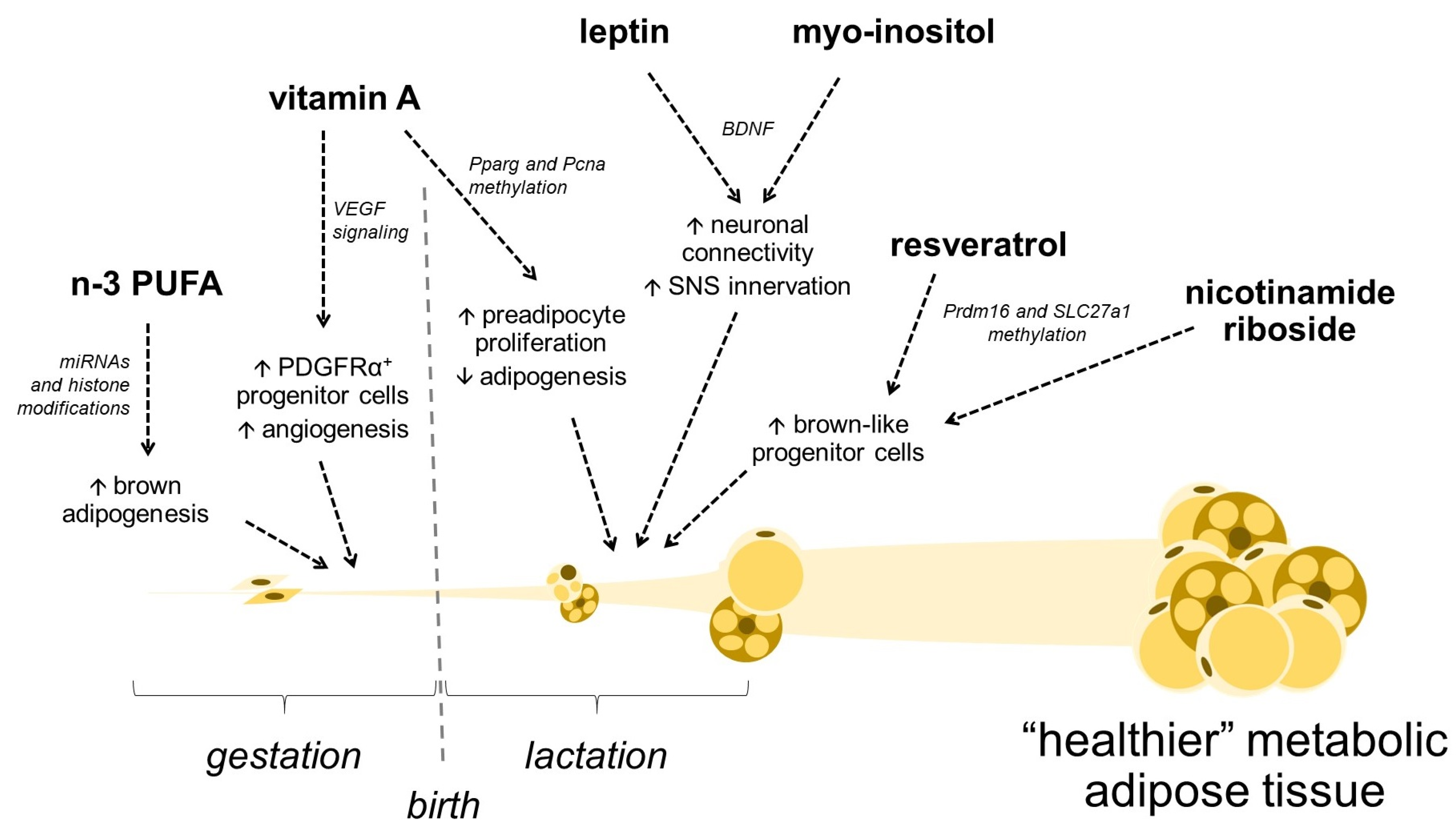 Cells 13 00870 g002 Cells 13 00870 g002
