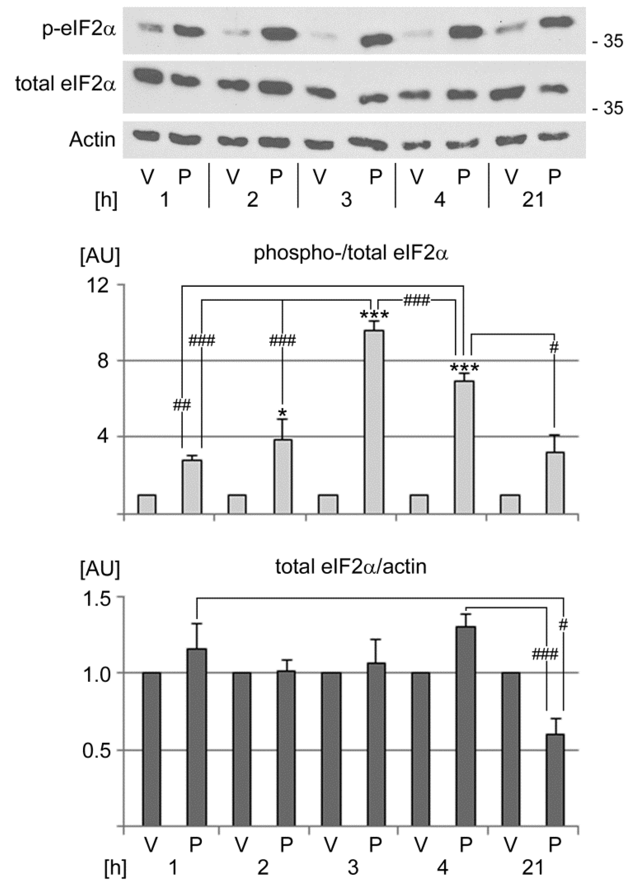 Cells 13 00885 g004 Cells 13 00885 g004