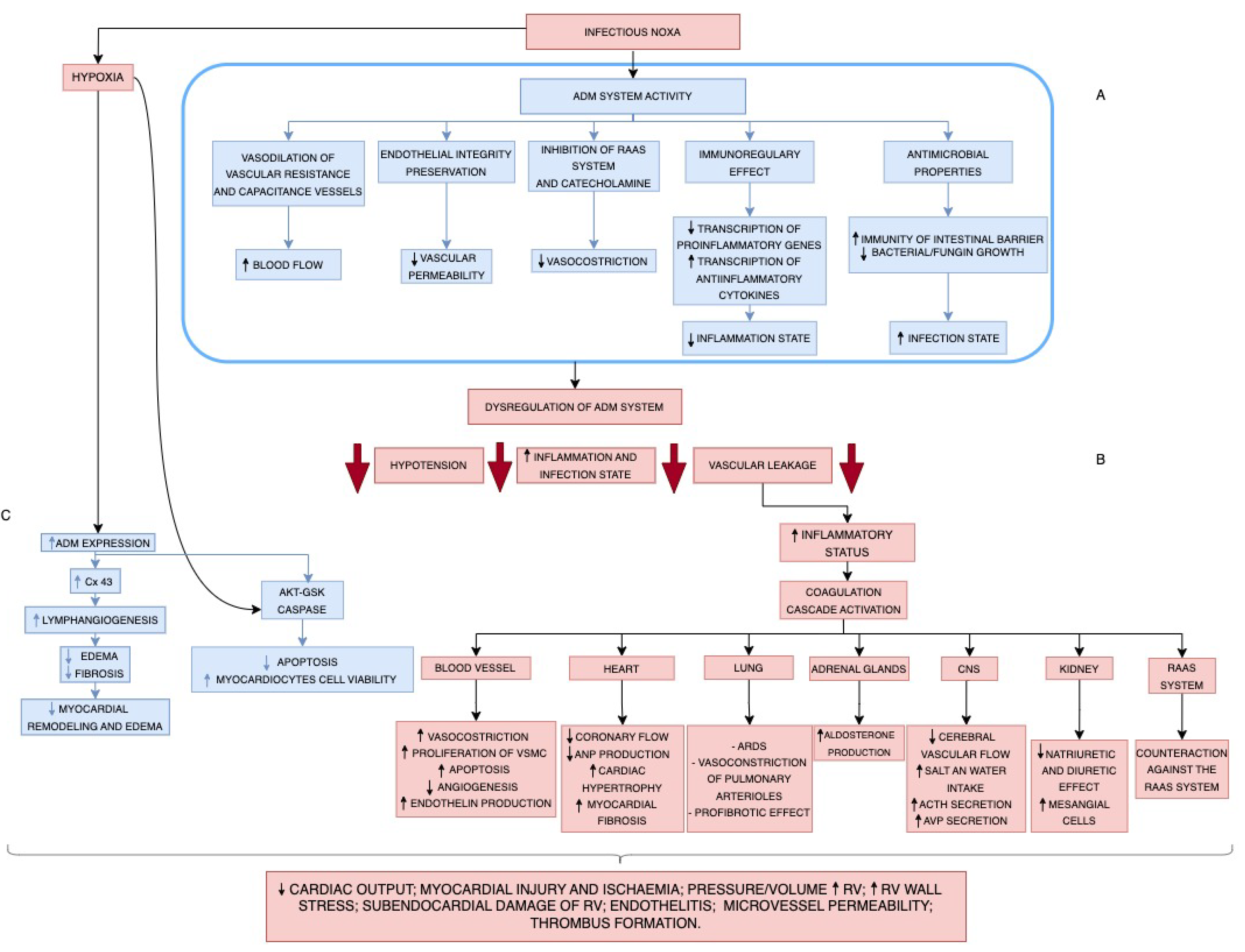 Cells 13 00892 g002 Cells 13 00892 g002