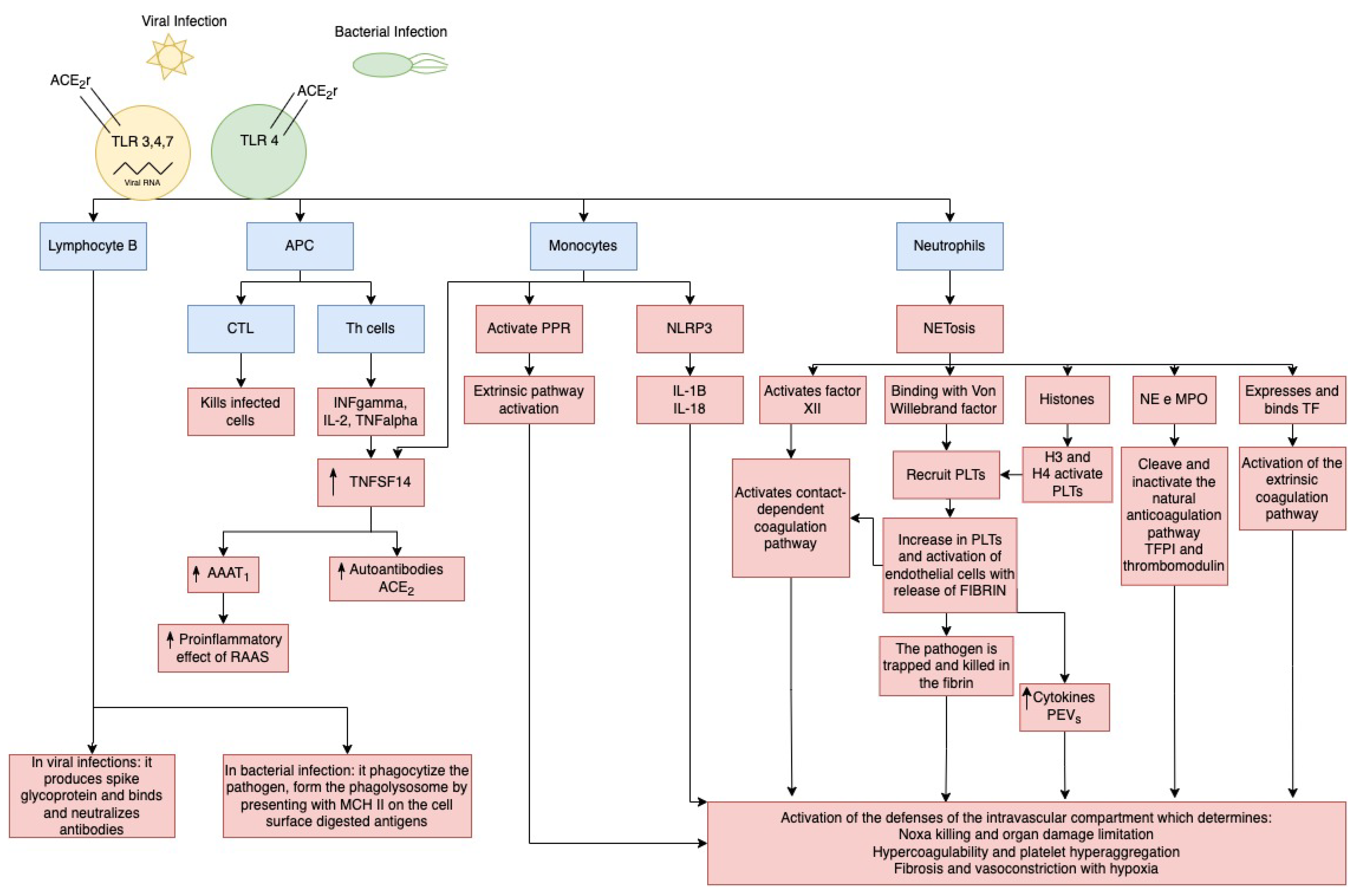 Cells 13 00892 g003 Cells 13 00892 g003