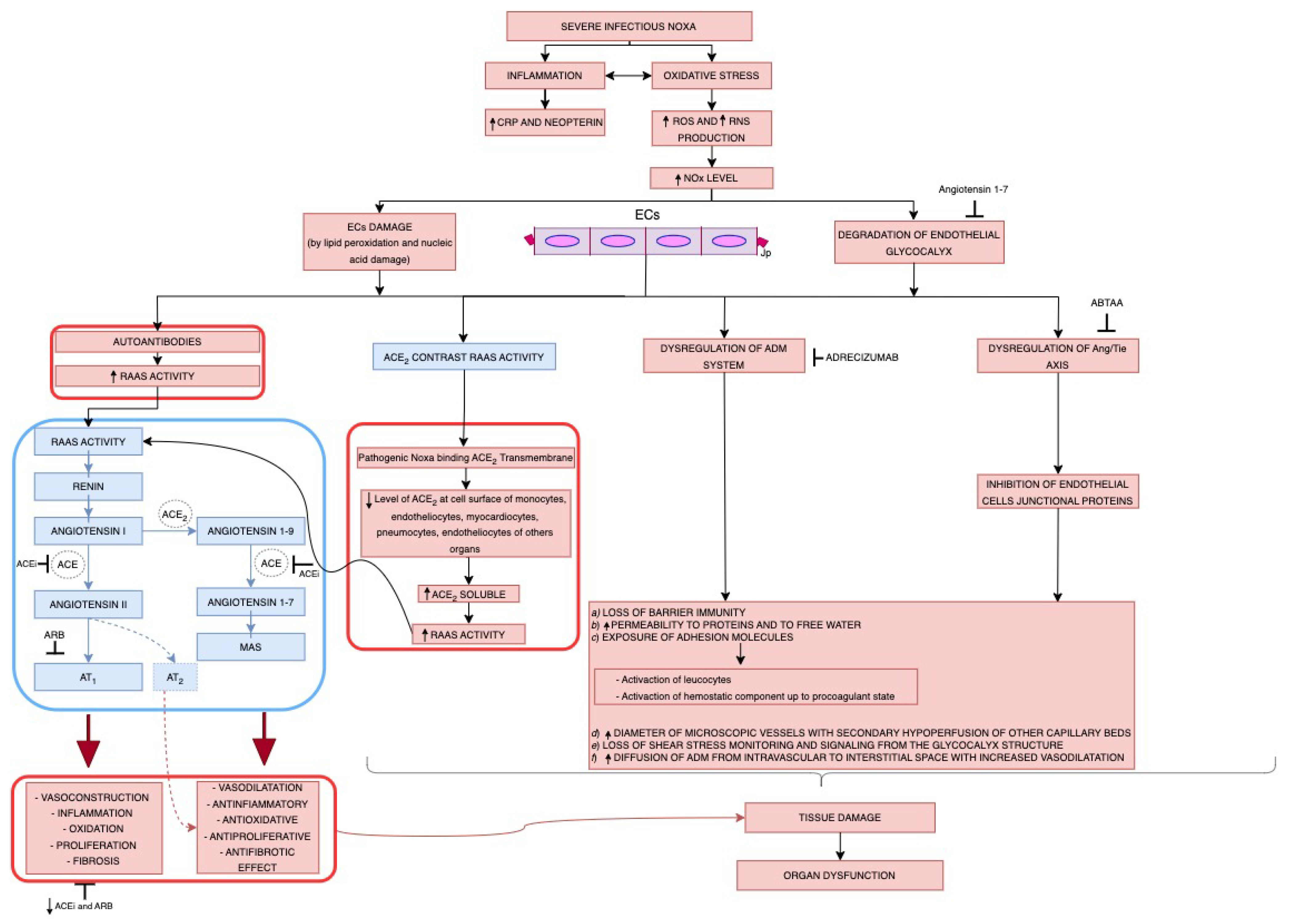 Cells 13 00892 g004 Cells 13 00892 g004