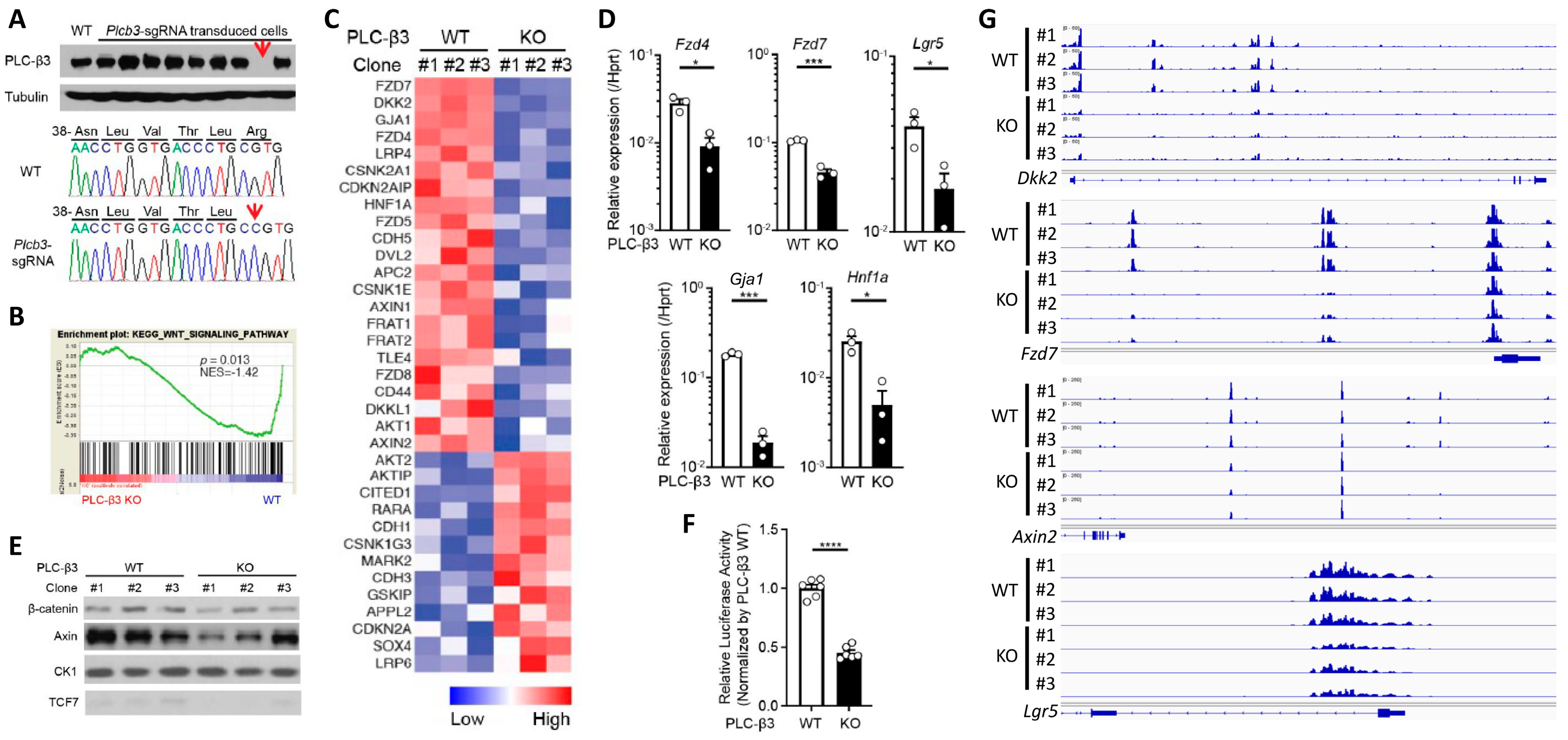 Cells 13 00986 g004a