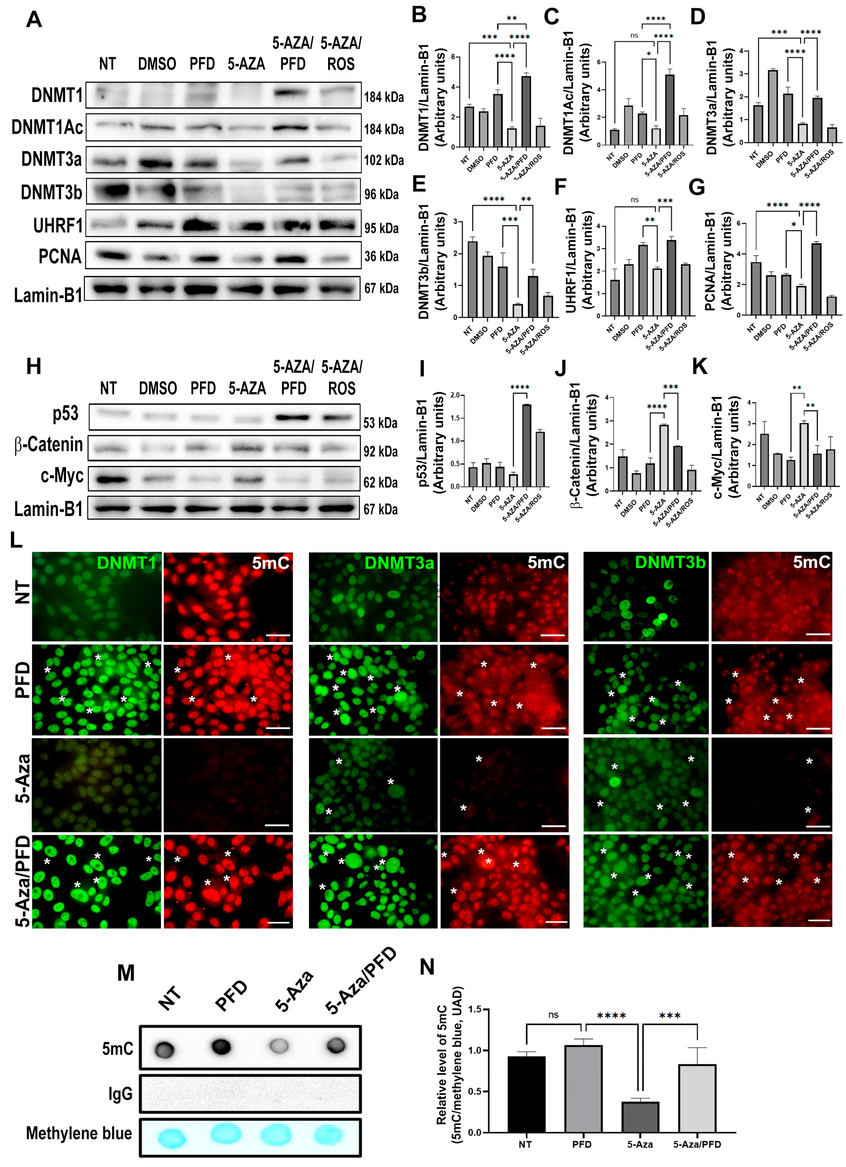 Cells 13 01013 g005 Cells 13 01013 g005
