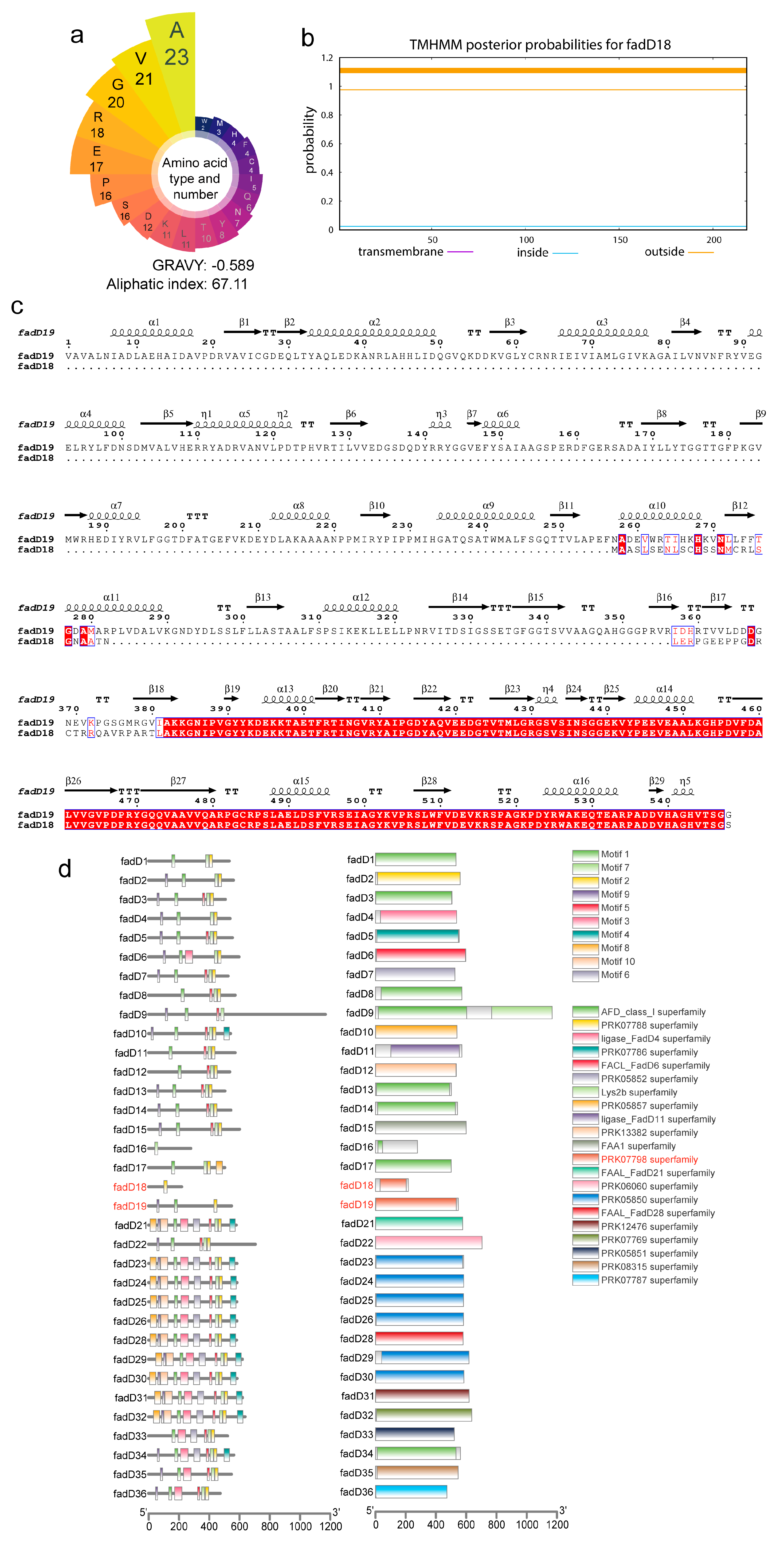 Cells 13 01019 g002 Cells 13 01019 g002