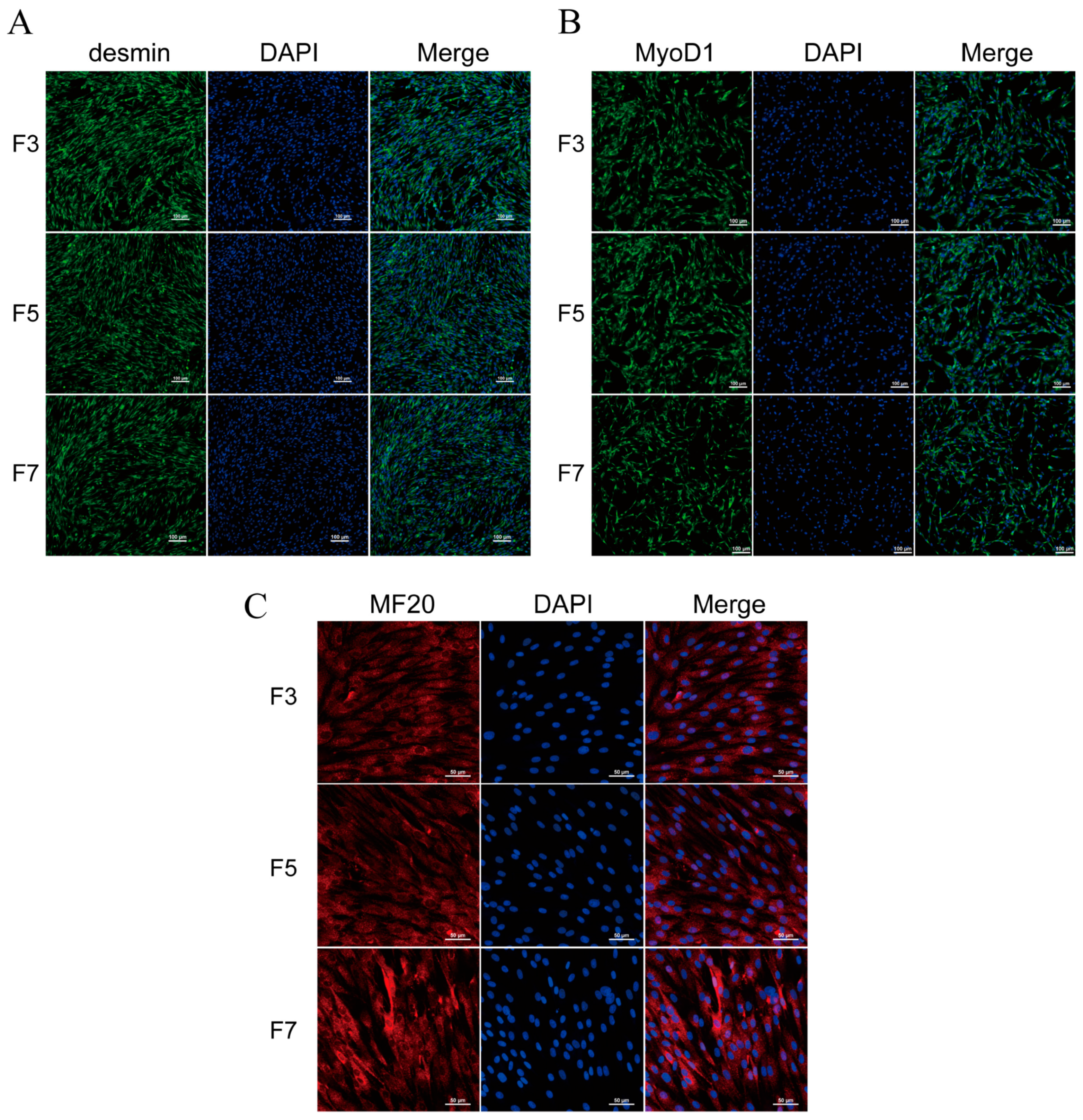 Cells 13 01031 g001 Cells 13 01031 g001