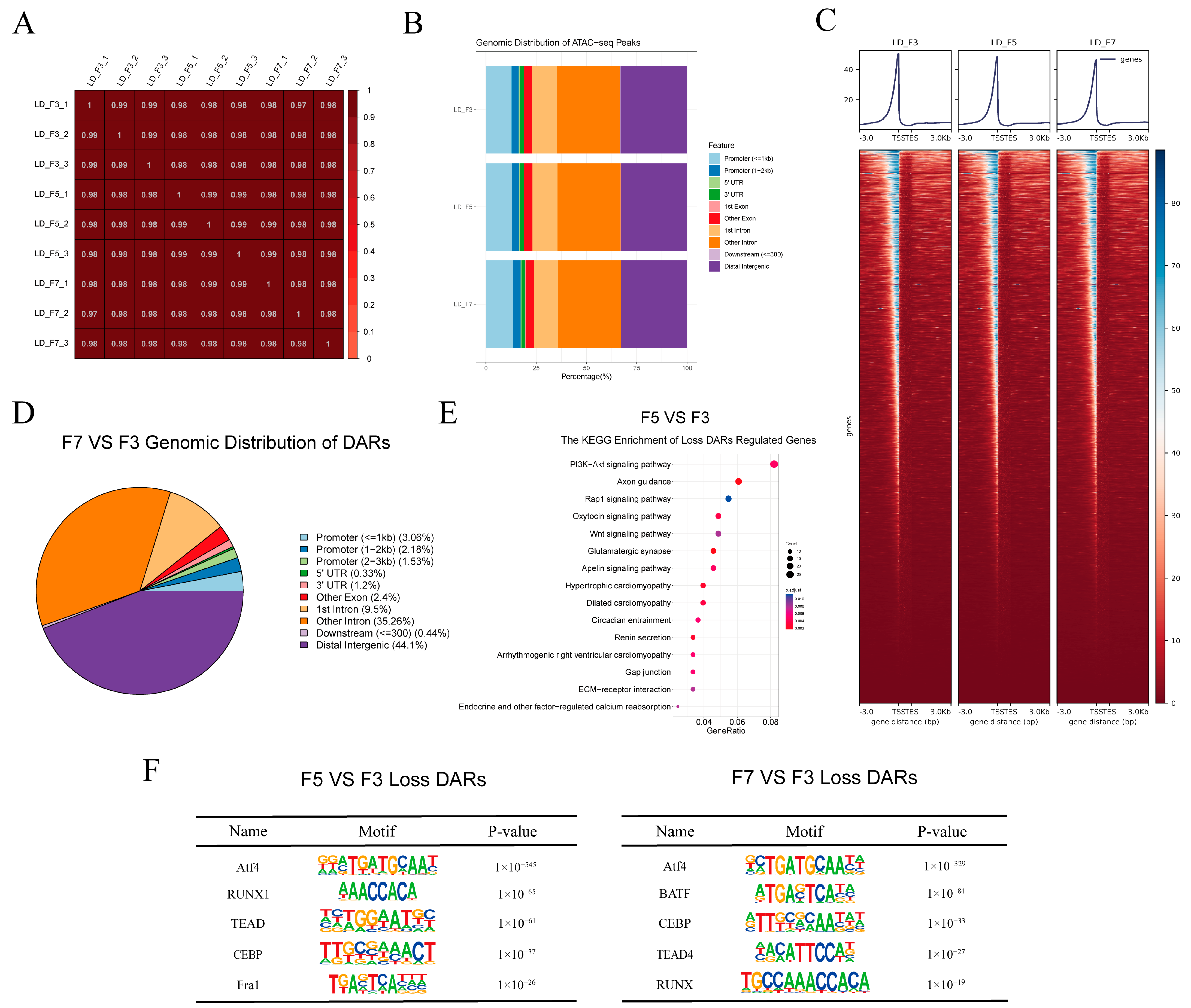 Cells 13 01031 g004 Cells 13 01031 g004
