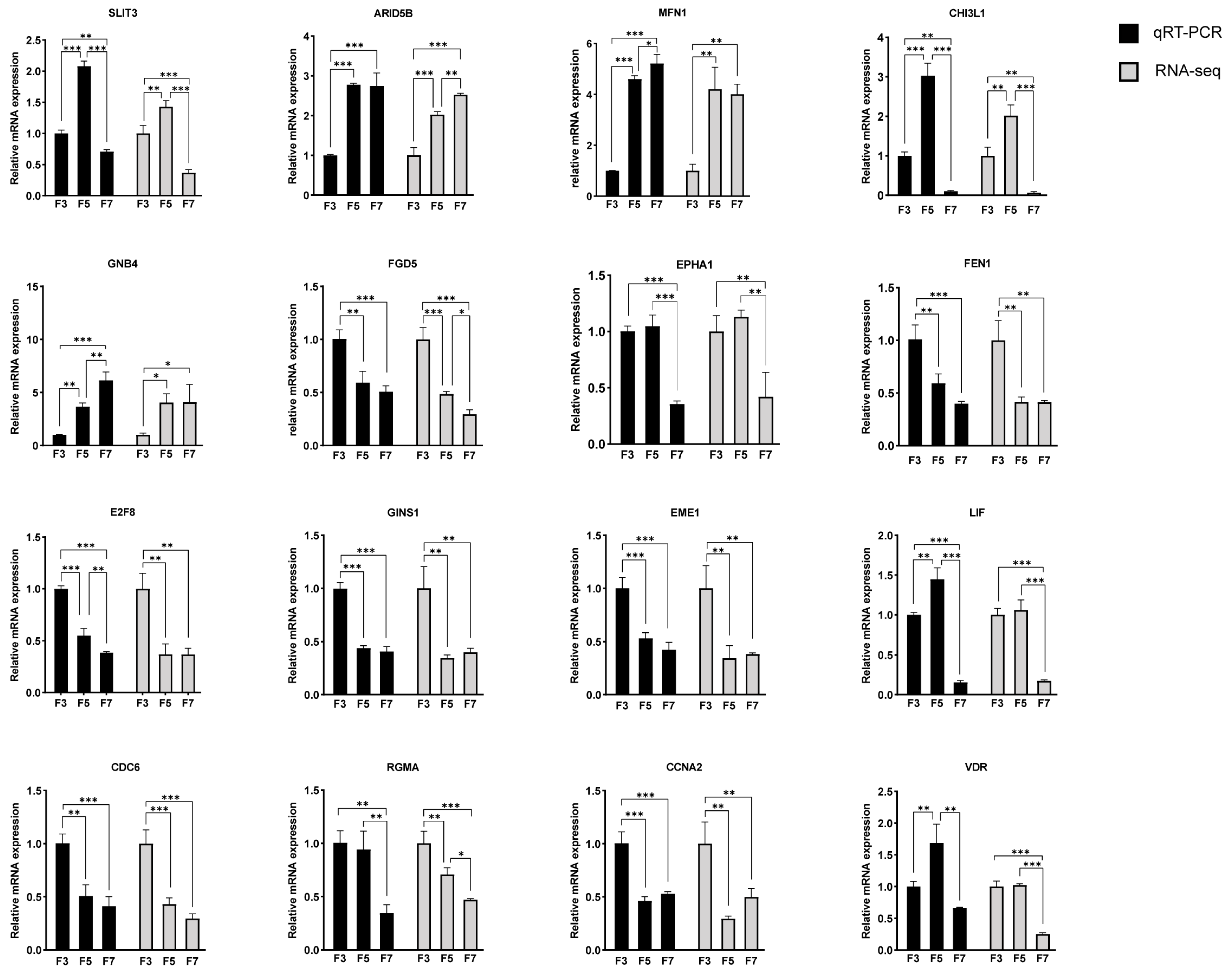 Cells 13 01031 g006 Cells 13 01031 g006