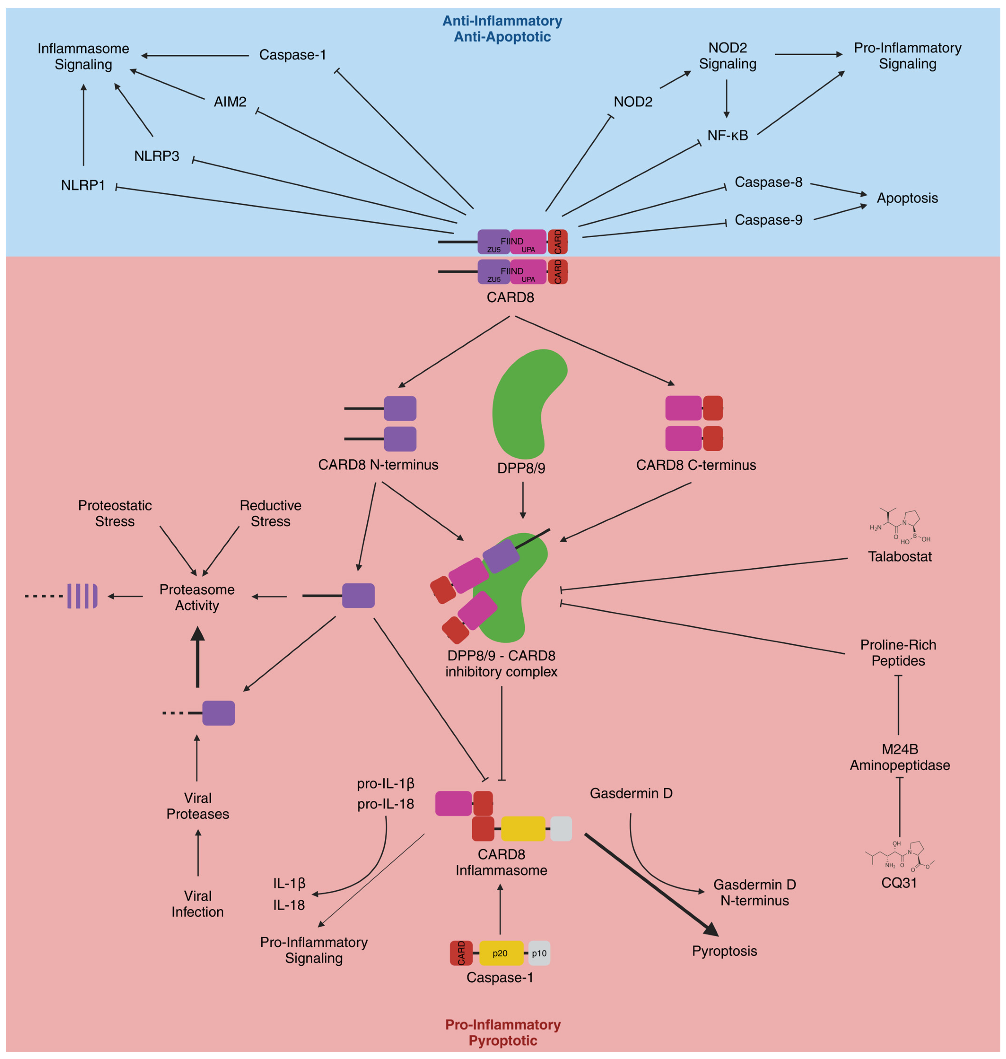 Cells 13 01032 g001 Cells 13 01032 g001