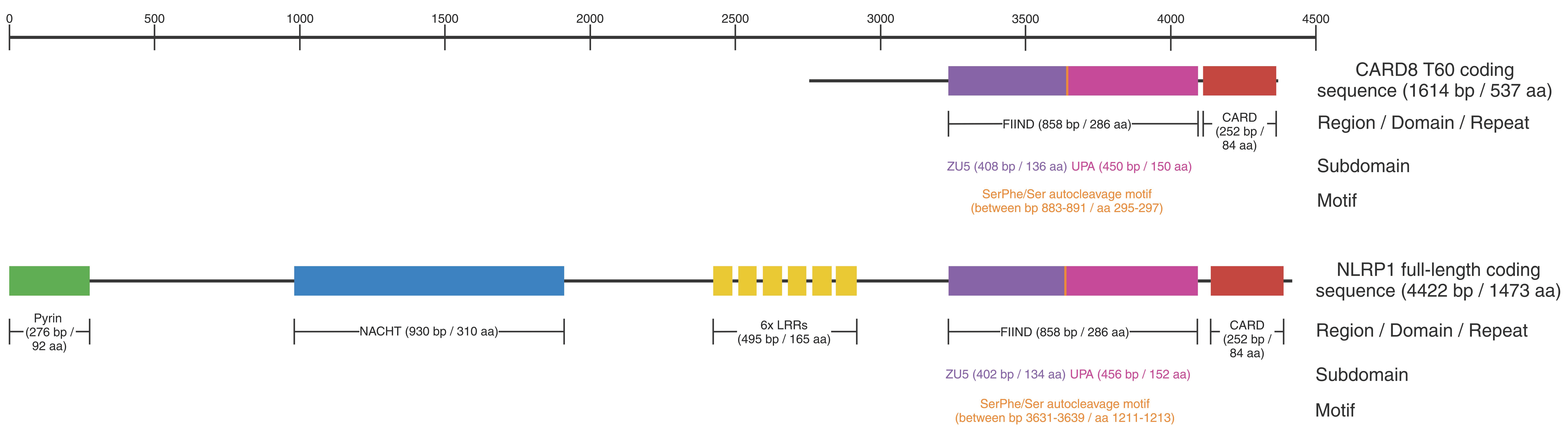 Cells 13 01032 g002 Cells 13 01032 g002