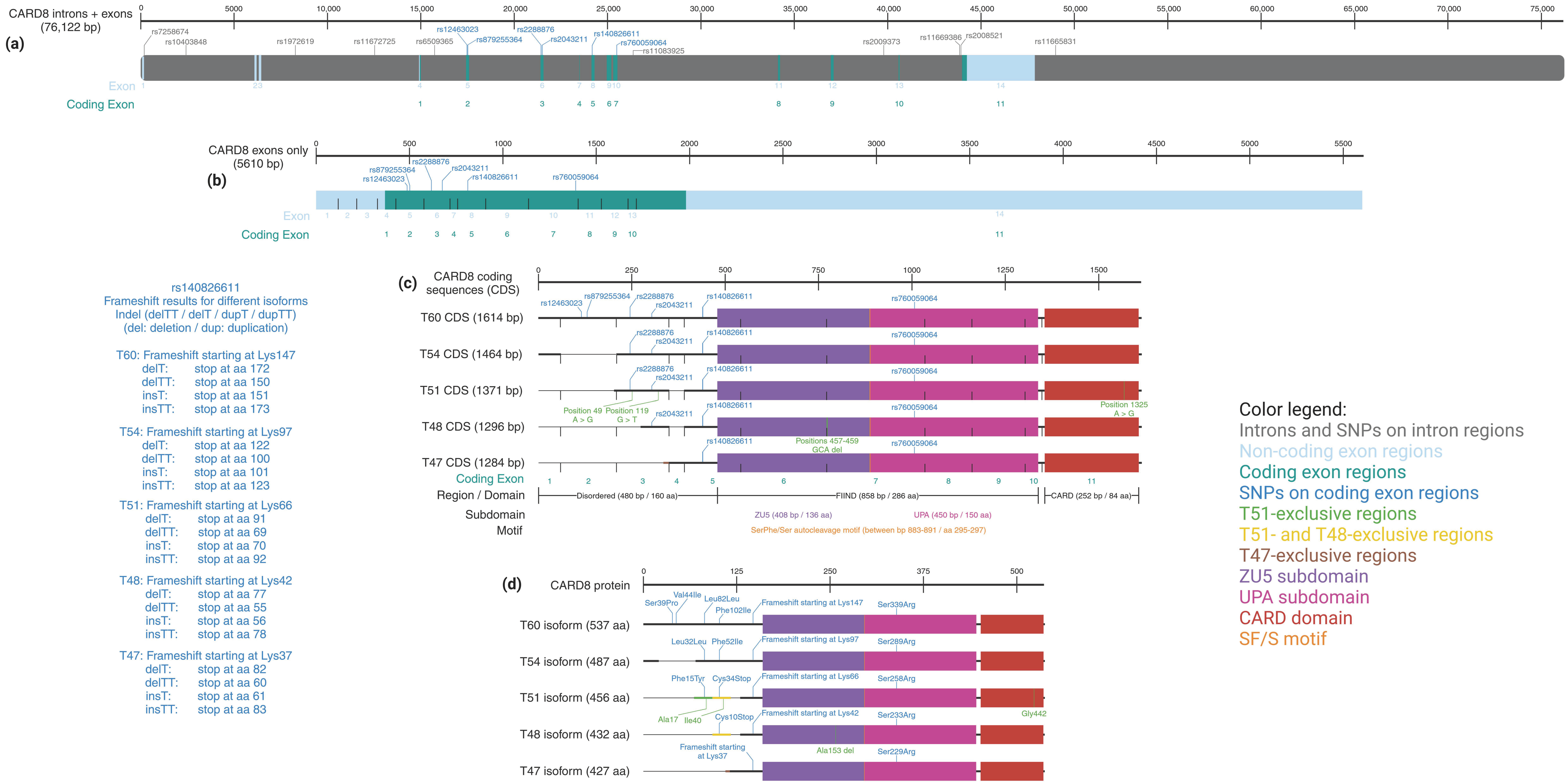 Cells 13 01032 g003 Cells 13 01032 g003
