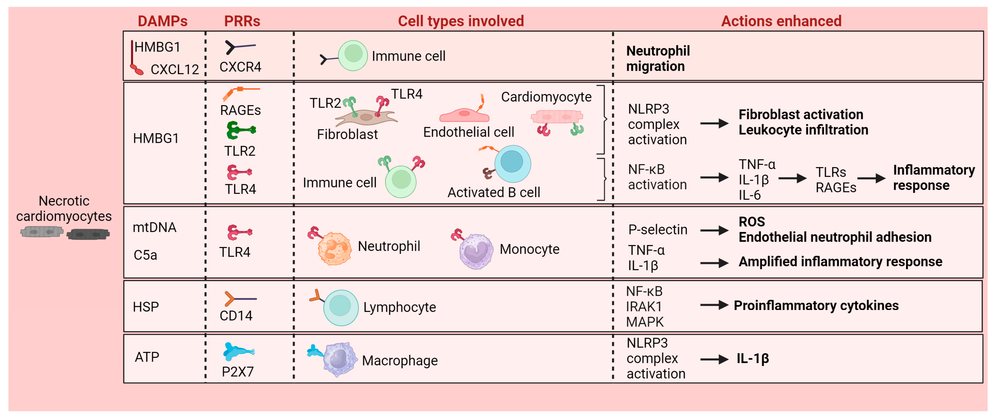Cells 13 01125 g001 Cells 13 01125 g001