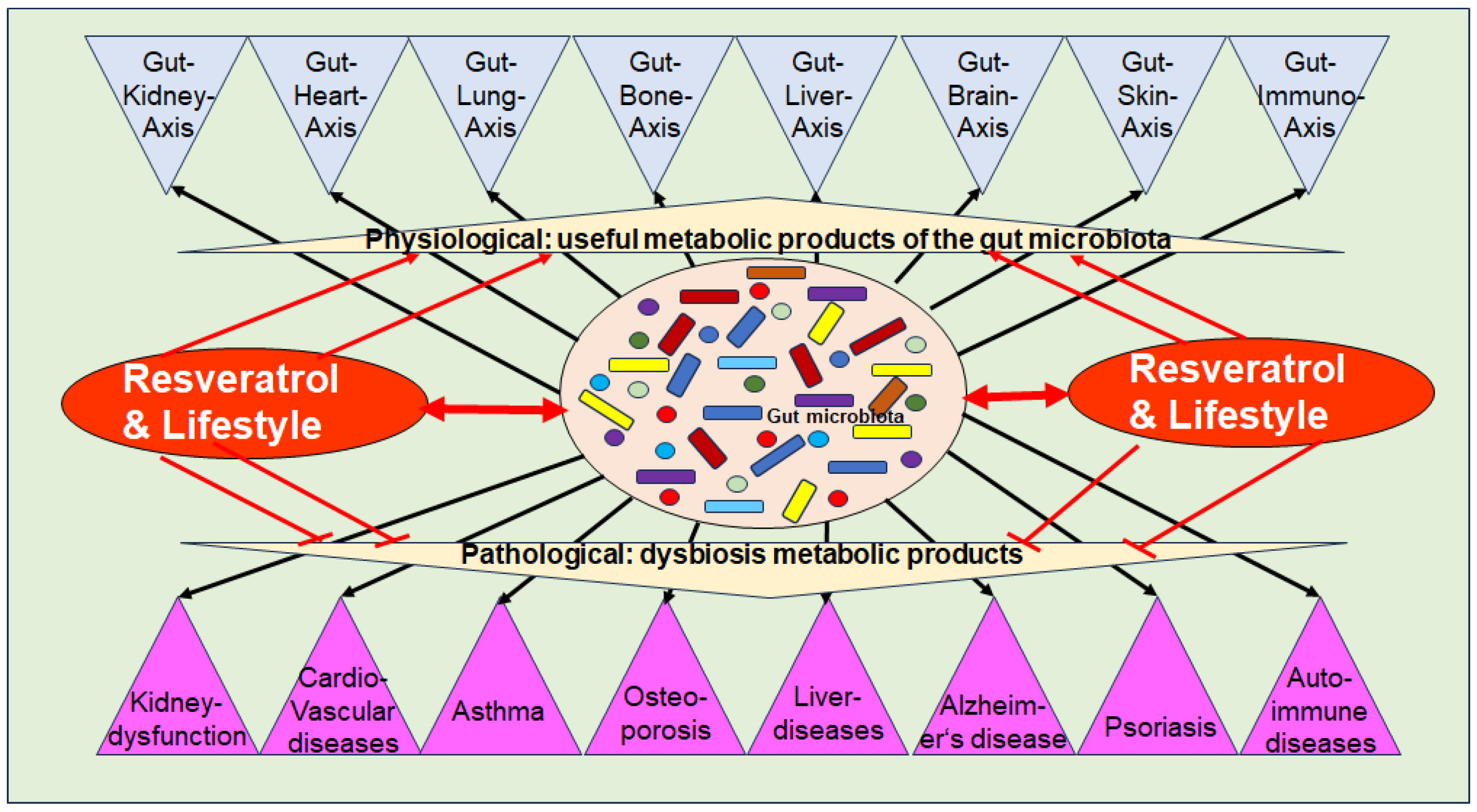 Cells 13 01145 g002 Cells 13 01145 g002
