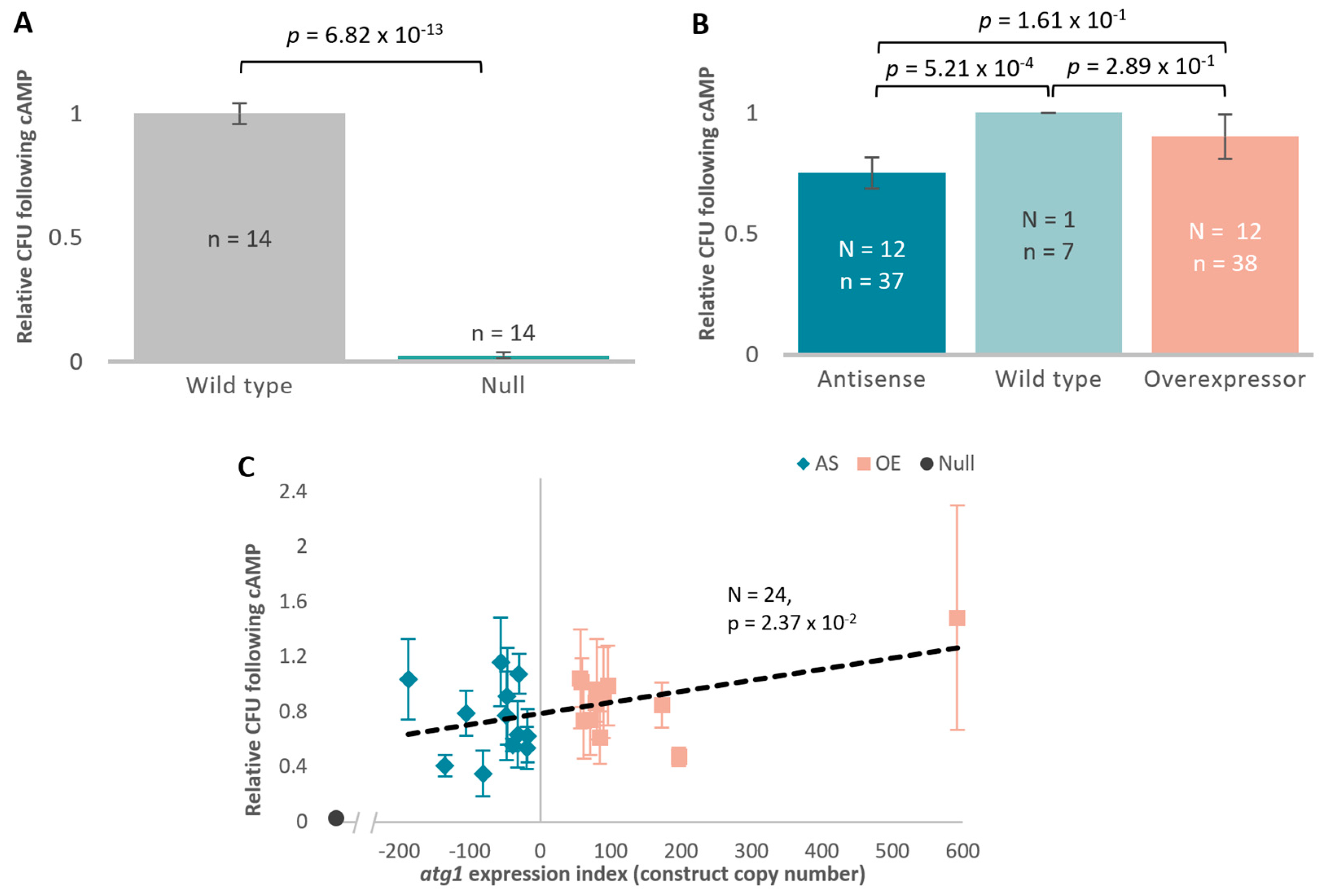 Cells 13 01191 g004a