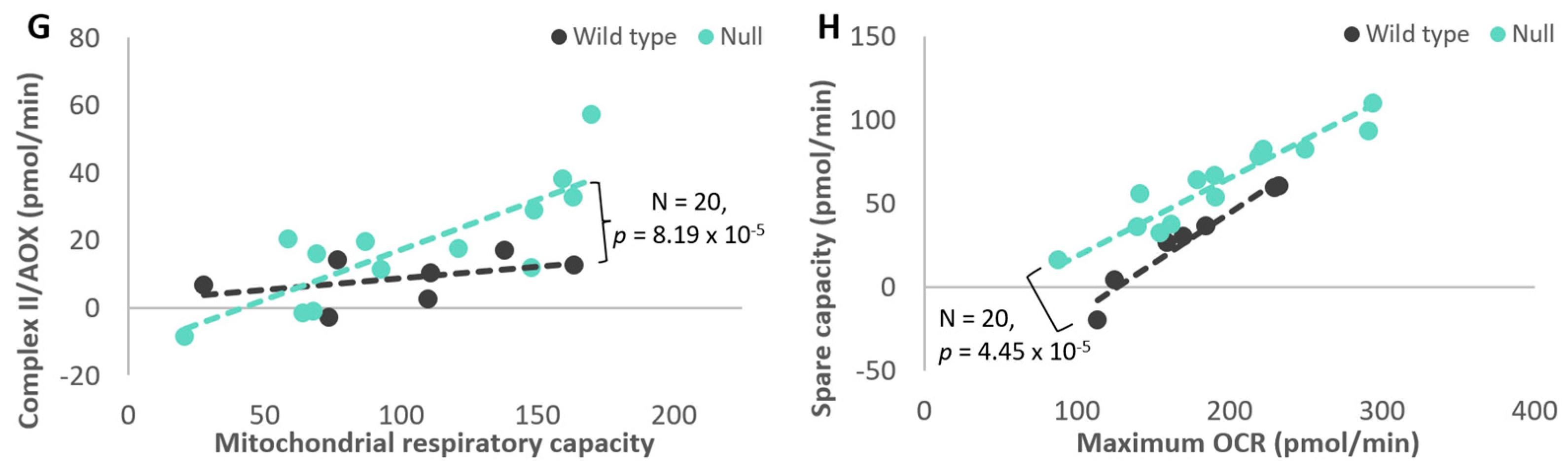 Cells 13 01191 g009b