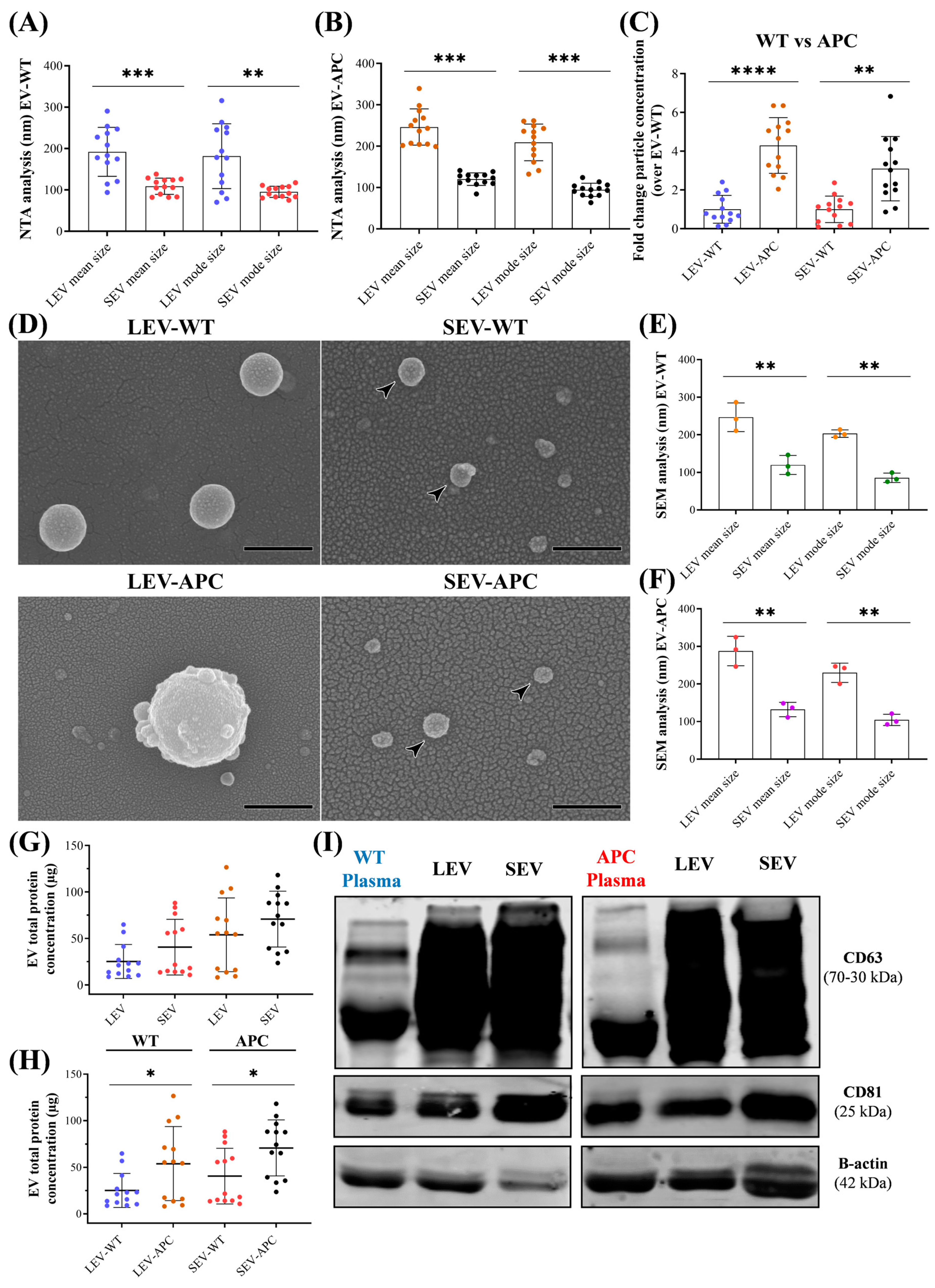Cells 13 01195 g001 Cells 13 01195 g001
