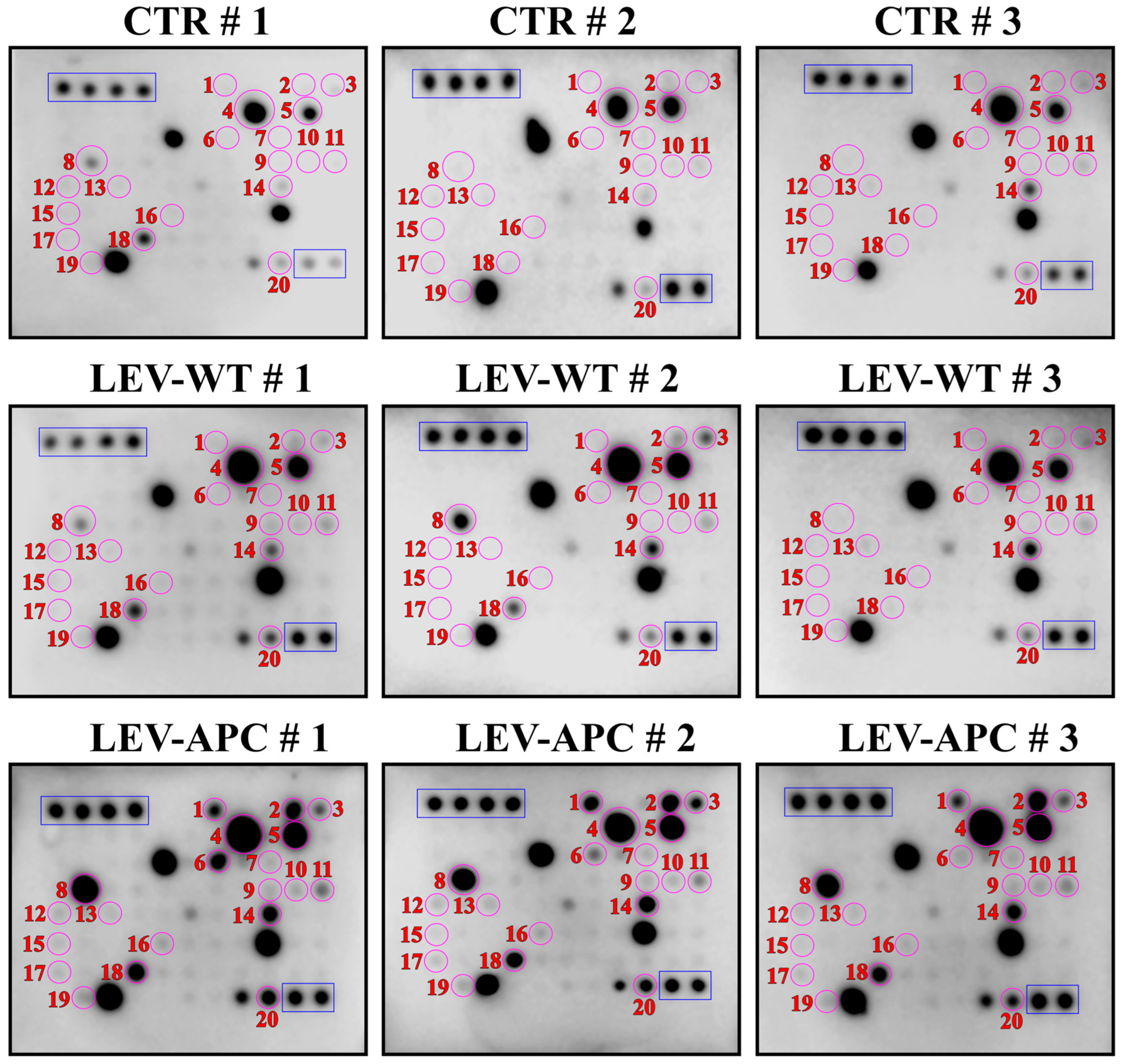 Cells 13 01195 g007 Cells 13 01195 g007