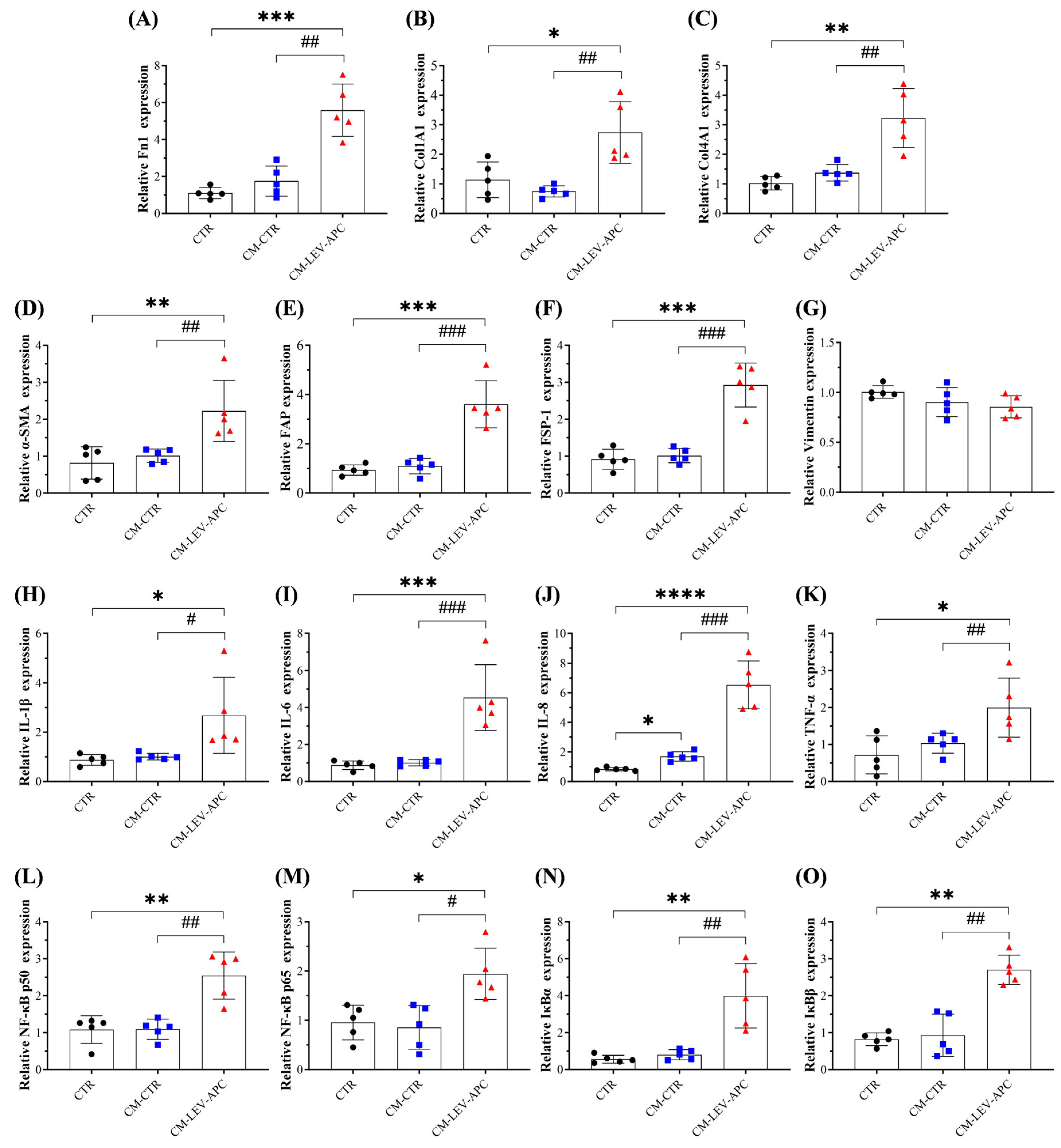 Cells 13 01195 g009 Cells 13 01195 g009