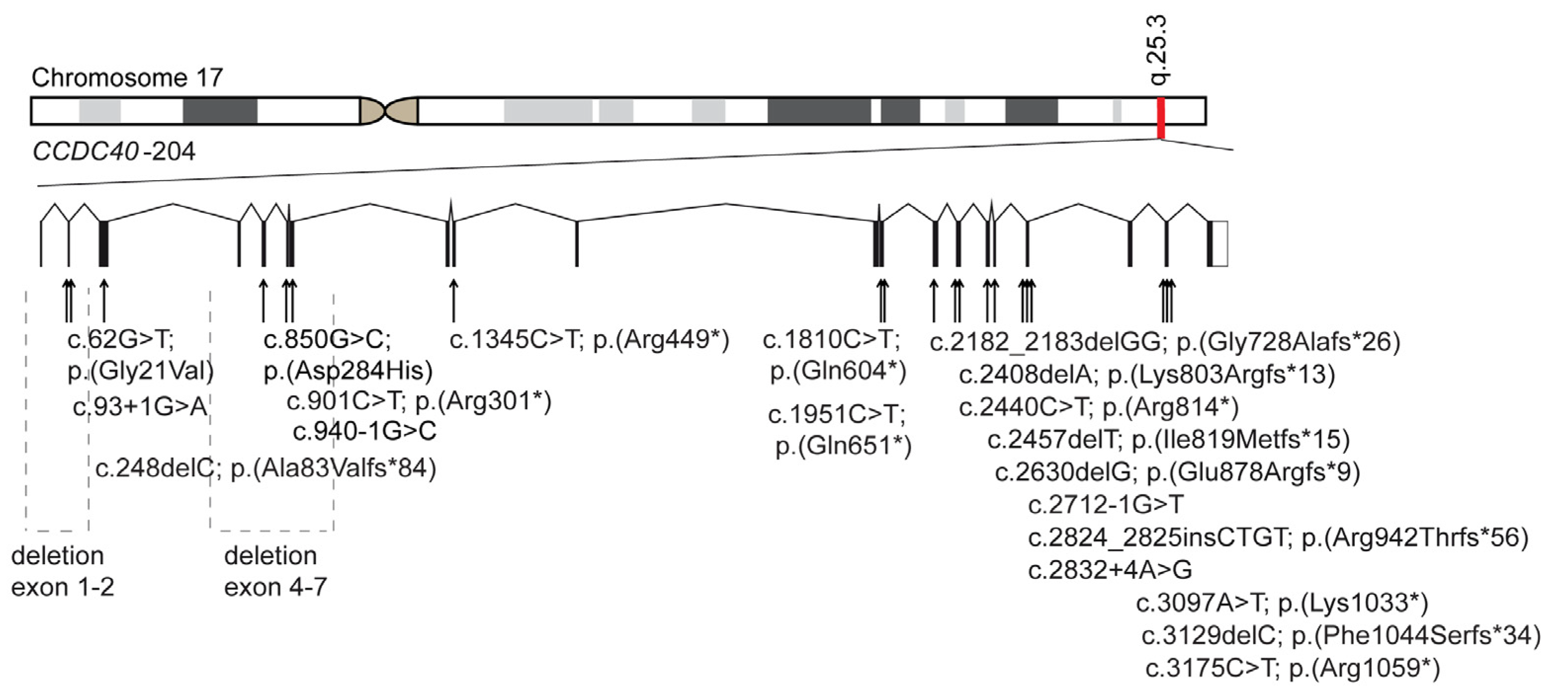 Cells 13 01200 g003 Cells 13 01200 g003