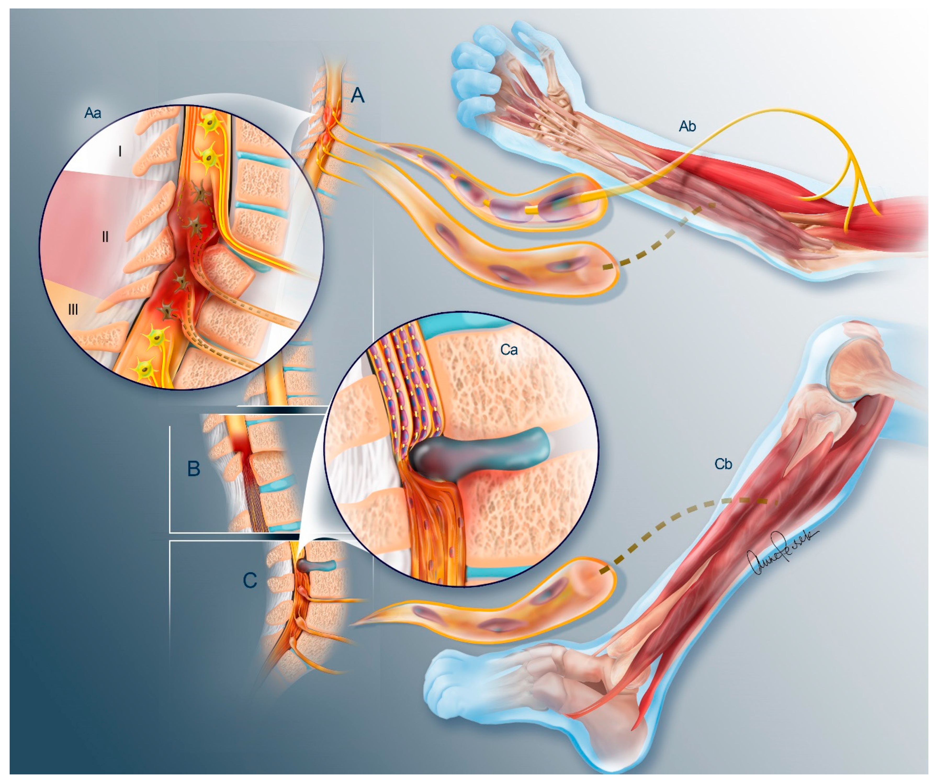 Cells 13 01231 g001 Cells 13 01231 g001