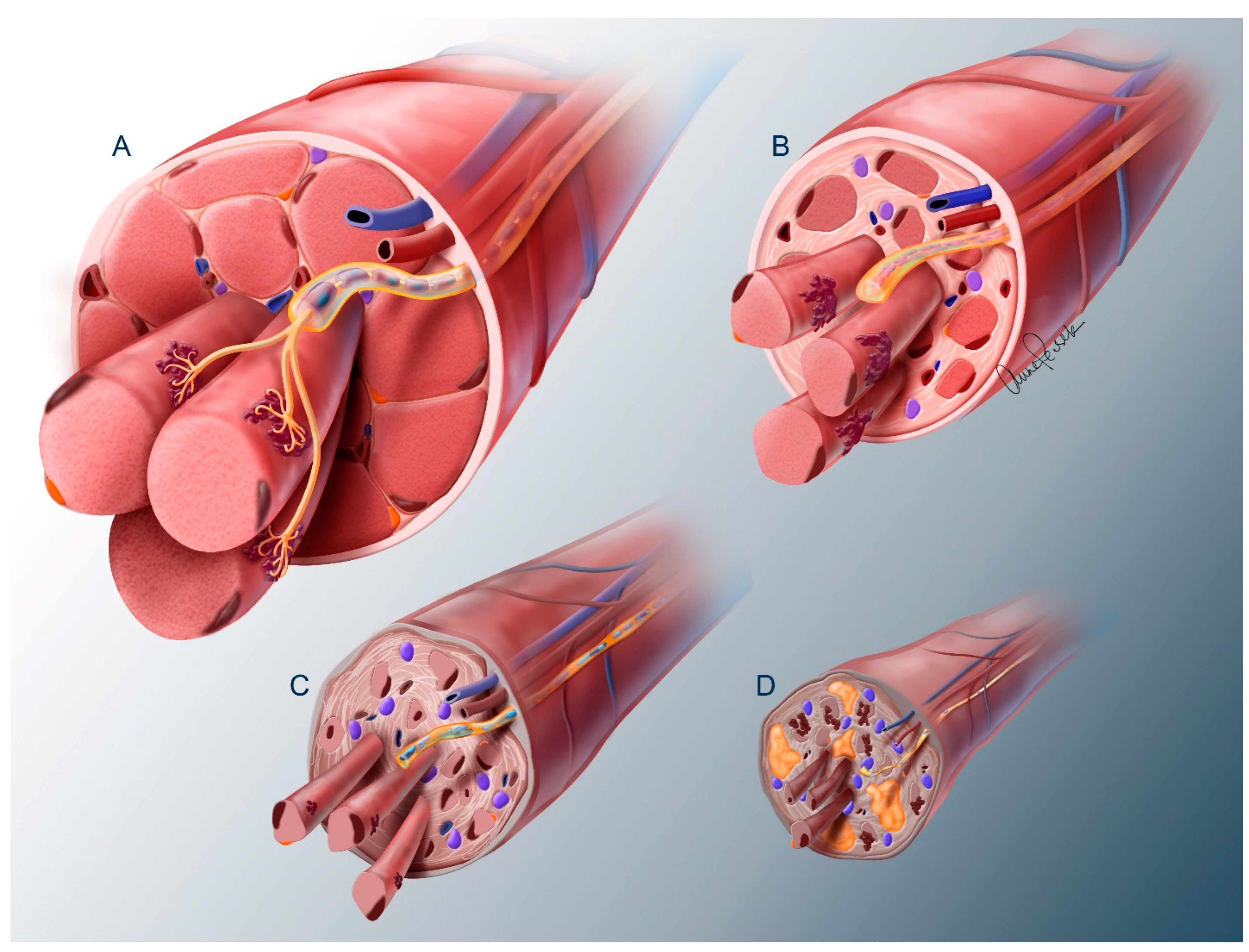 Cells 13 01231 g003 Cells 13 01231 g003