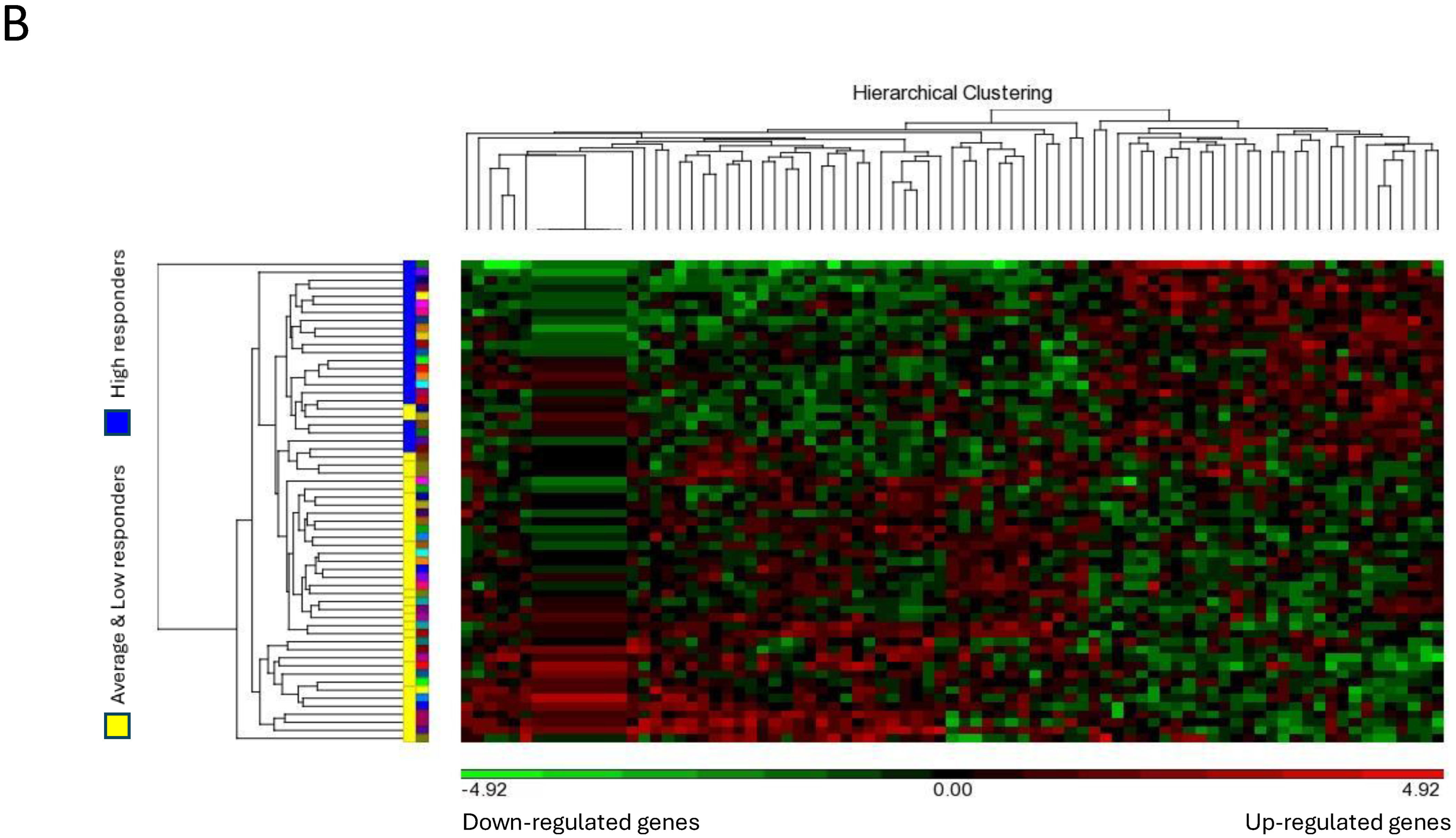 Cells 13 01237 g002b