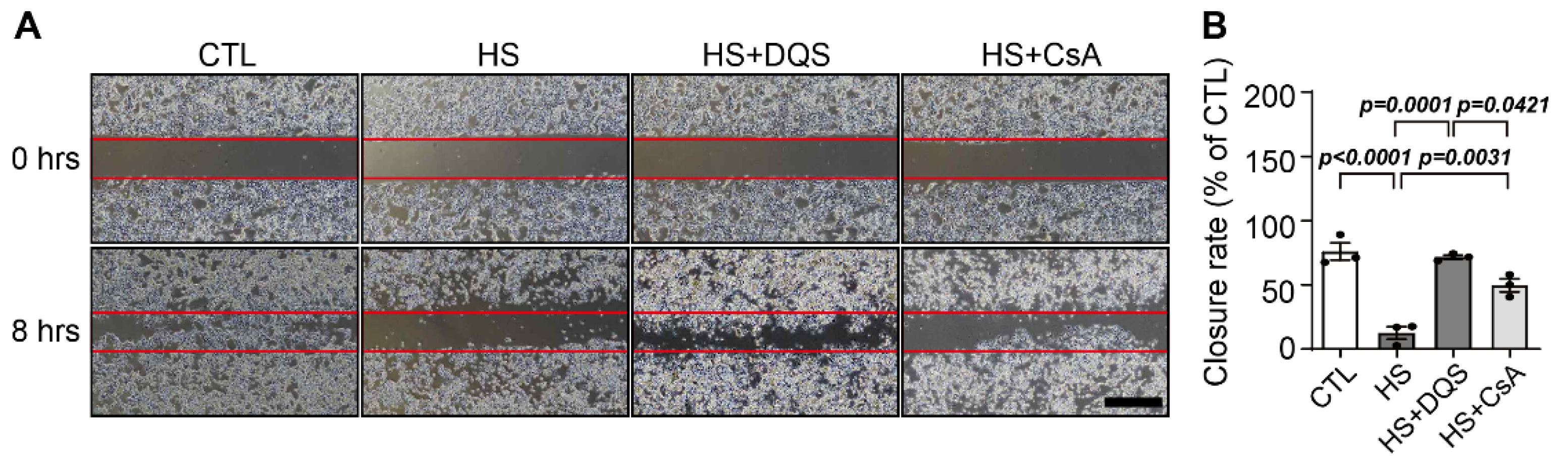 Cells 13 01251 g004 Cells 13 01251 g004