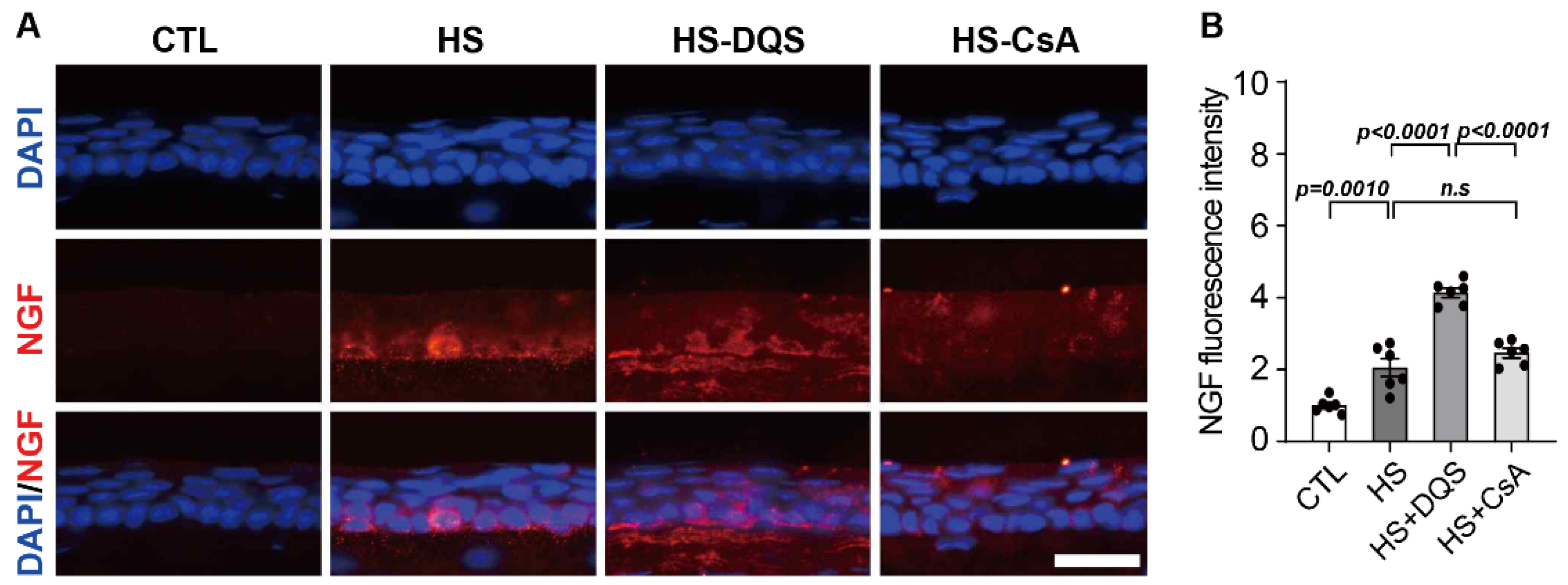 Cells 13 01251 g009 Cells 13 01251 g009