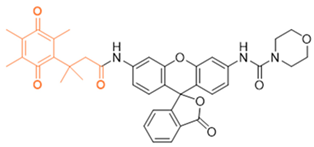 Cells 13 01272 i015 Cells 13 01272 i015
