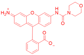 Cells 13 01272 i017 Cells 13 01272 i017