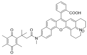 Cells 13 01272 i018 Cells 13 01272 i018