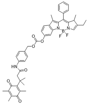 Cells 13 01272 i019 Cells 13 01272 i019