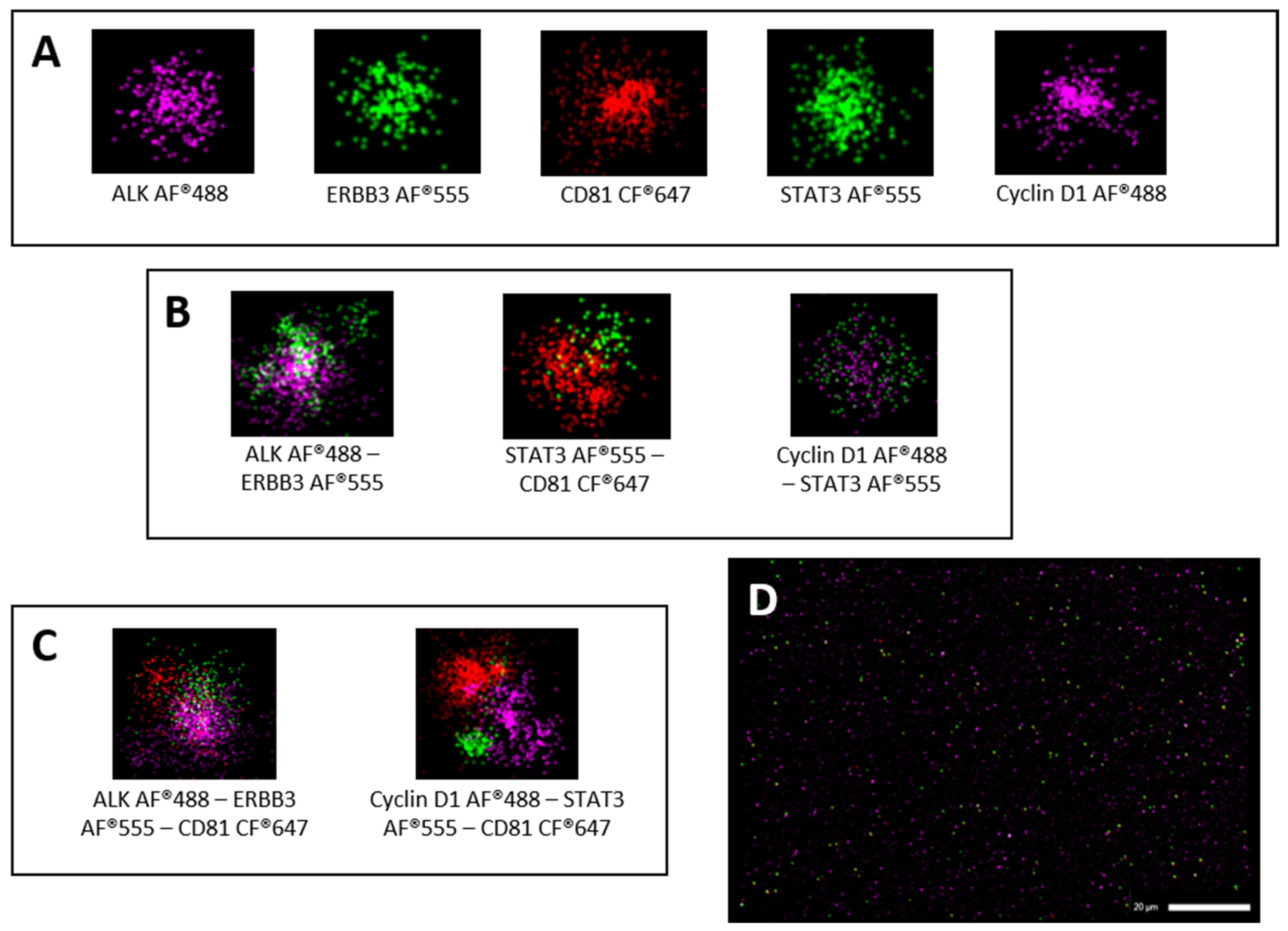 Cells 13 01286 g002a