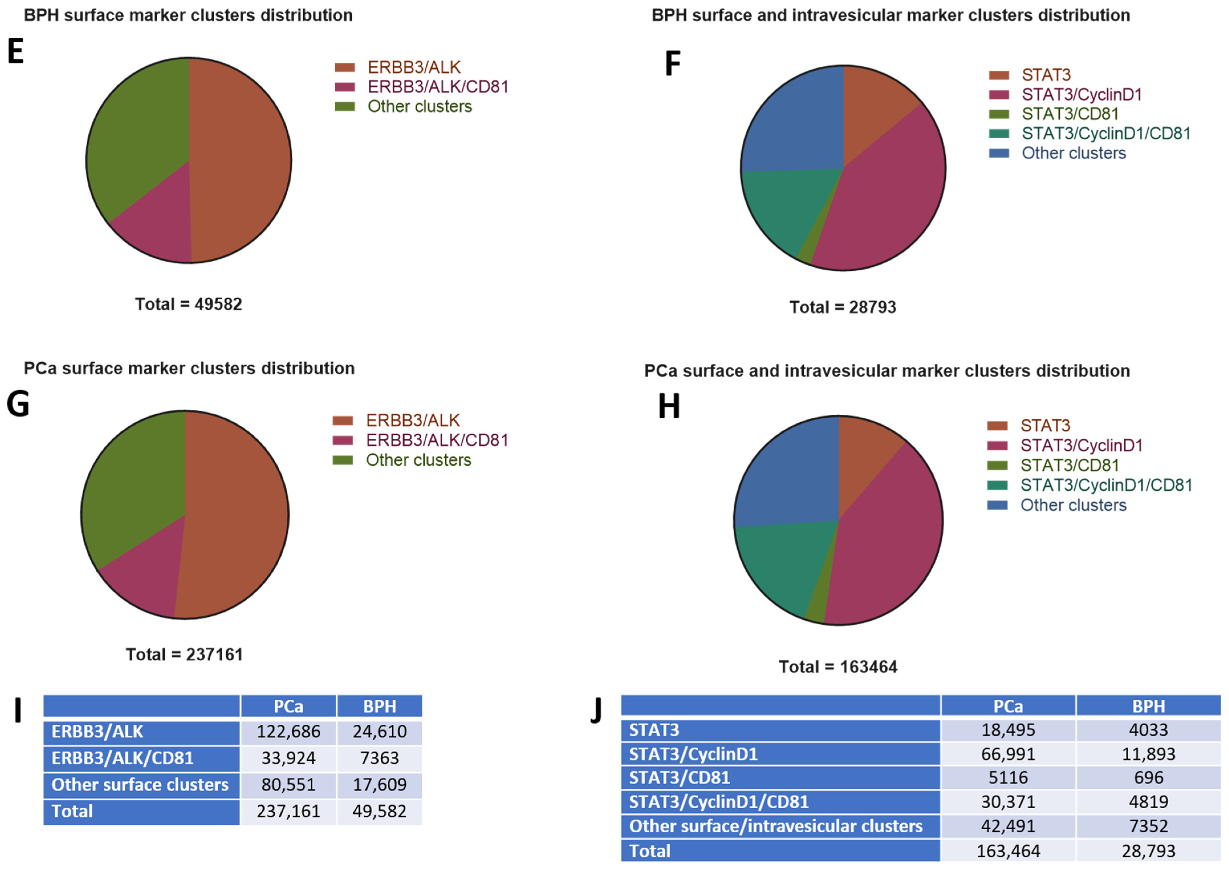 Cells 13 01286 g002b
