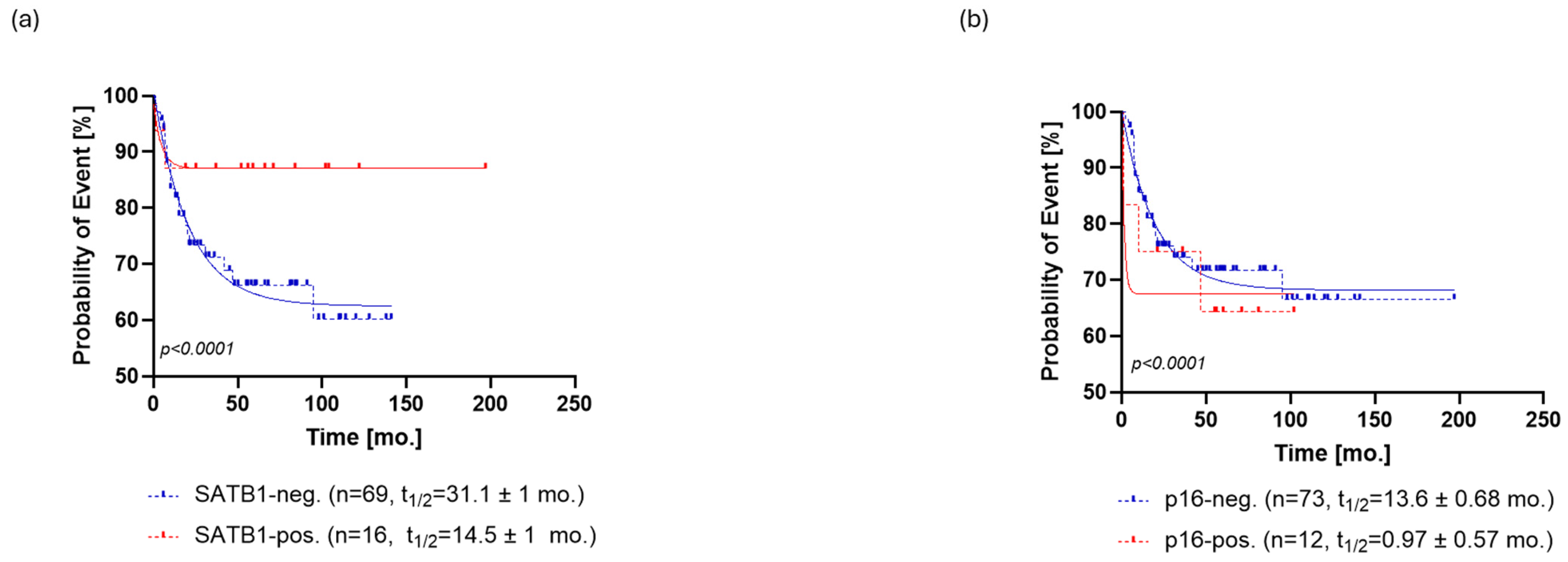 Cells 13 01323 g003 Cells 13 01323 g003