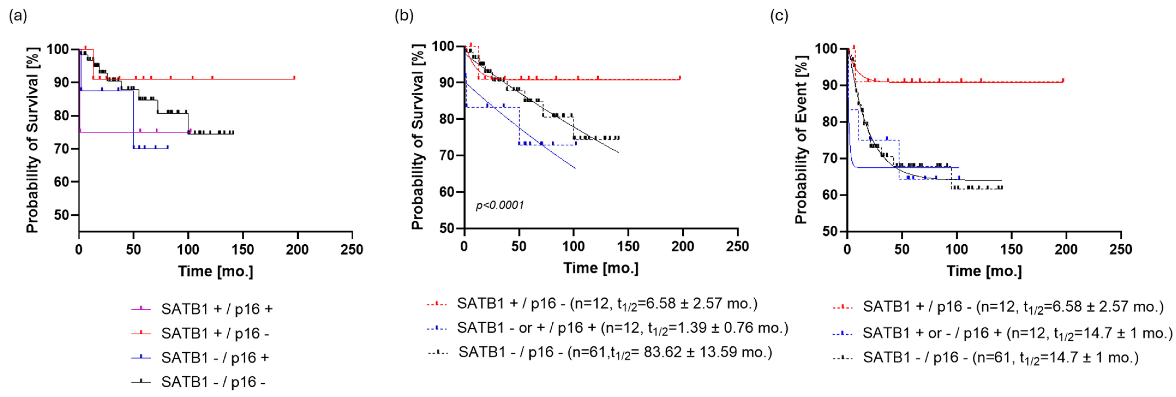 Cells 13 01323 g004 Cells 13 01323 g004