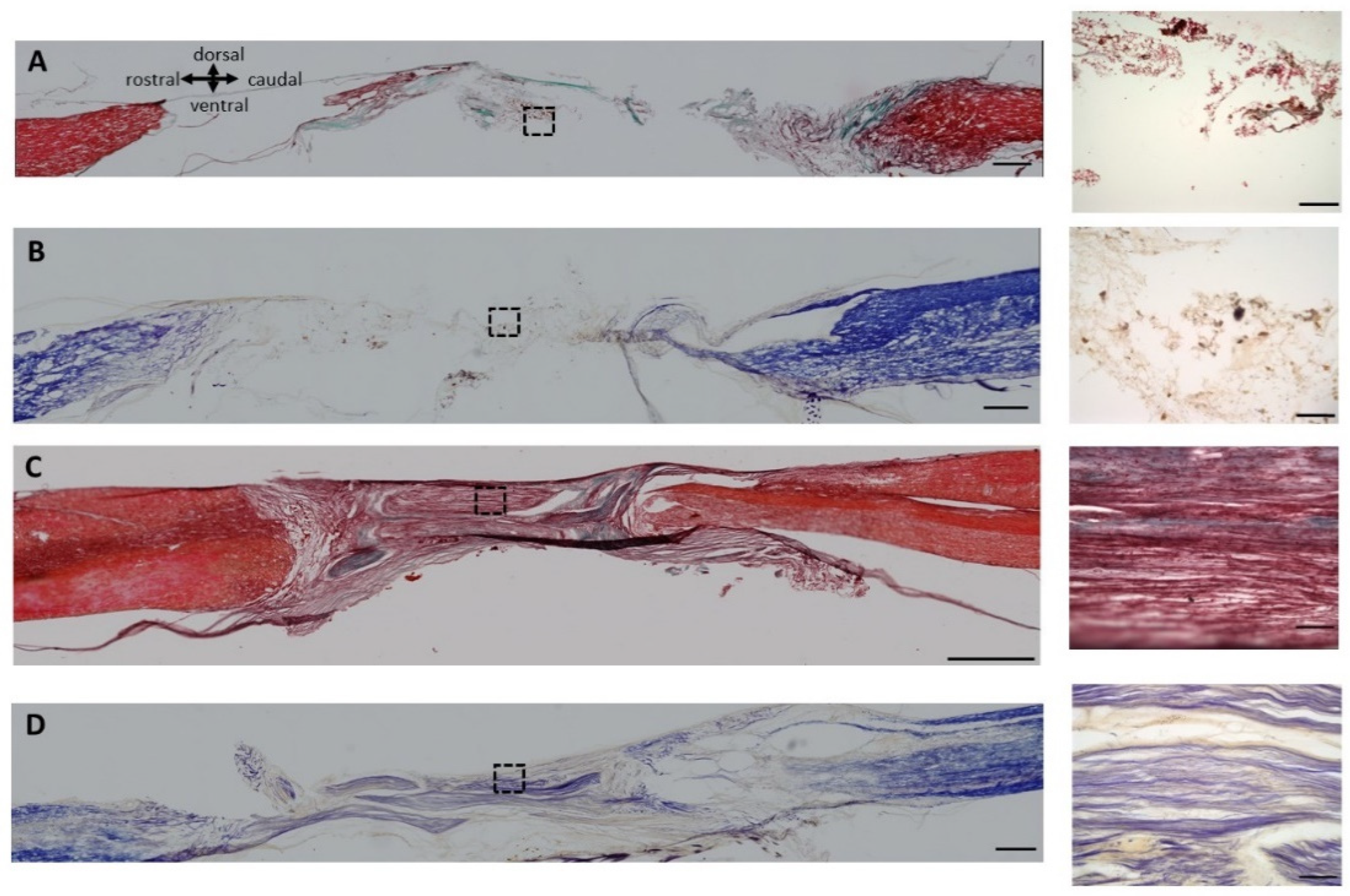Cells 13 01324 g003 Cells 13 01324 g003