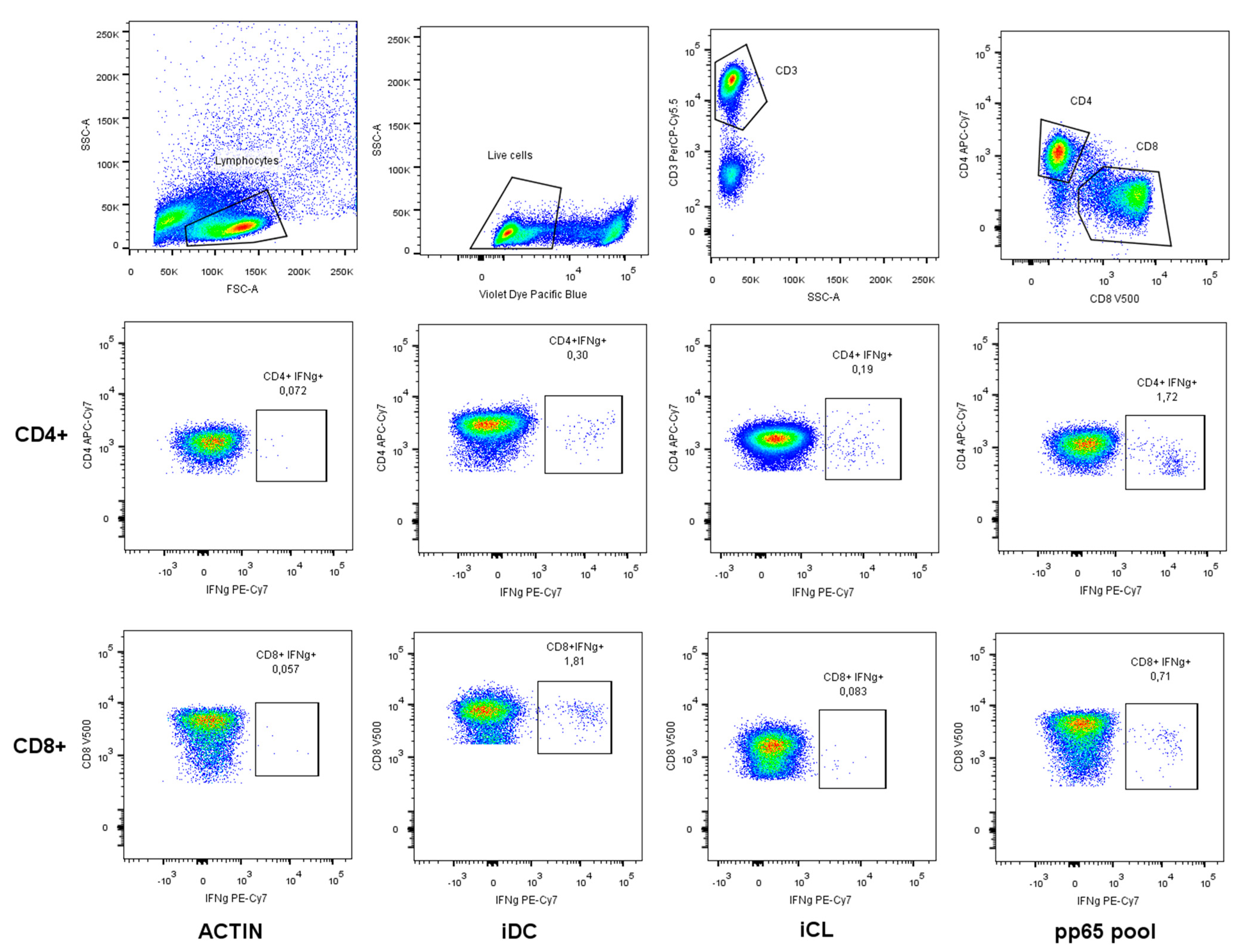 Cells 13 01325 g001 Cells 13 01325 g001