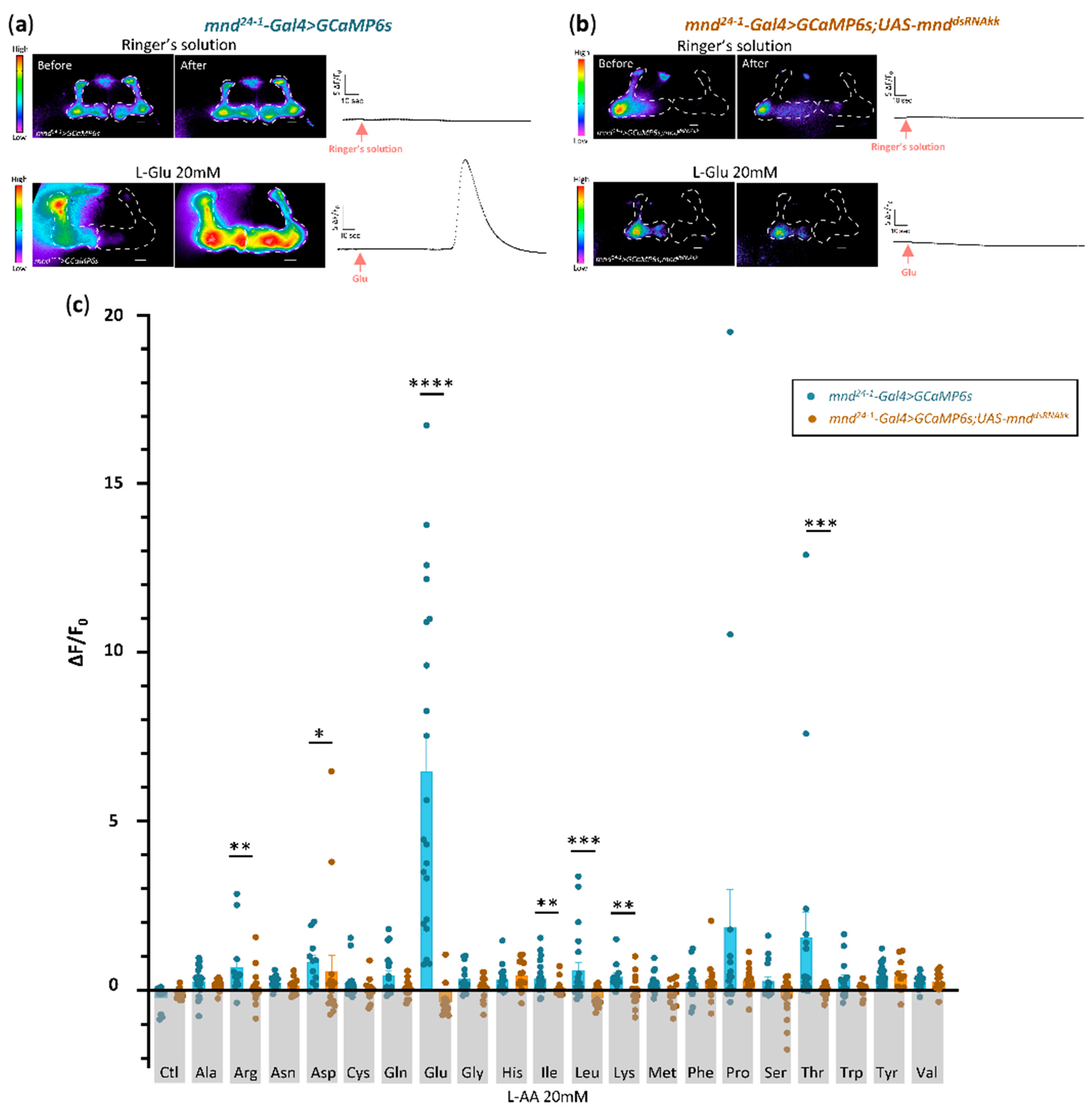 Cells 13 01340 g004 Cells 13 01340 g004