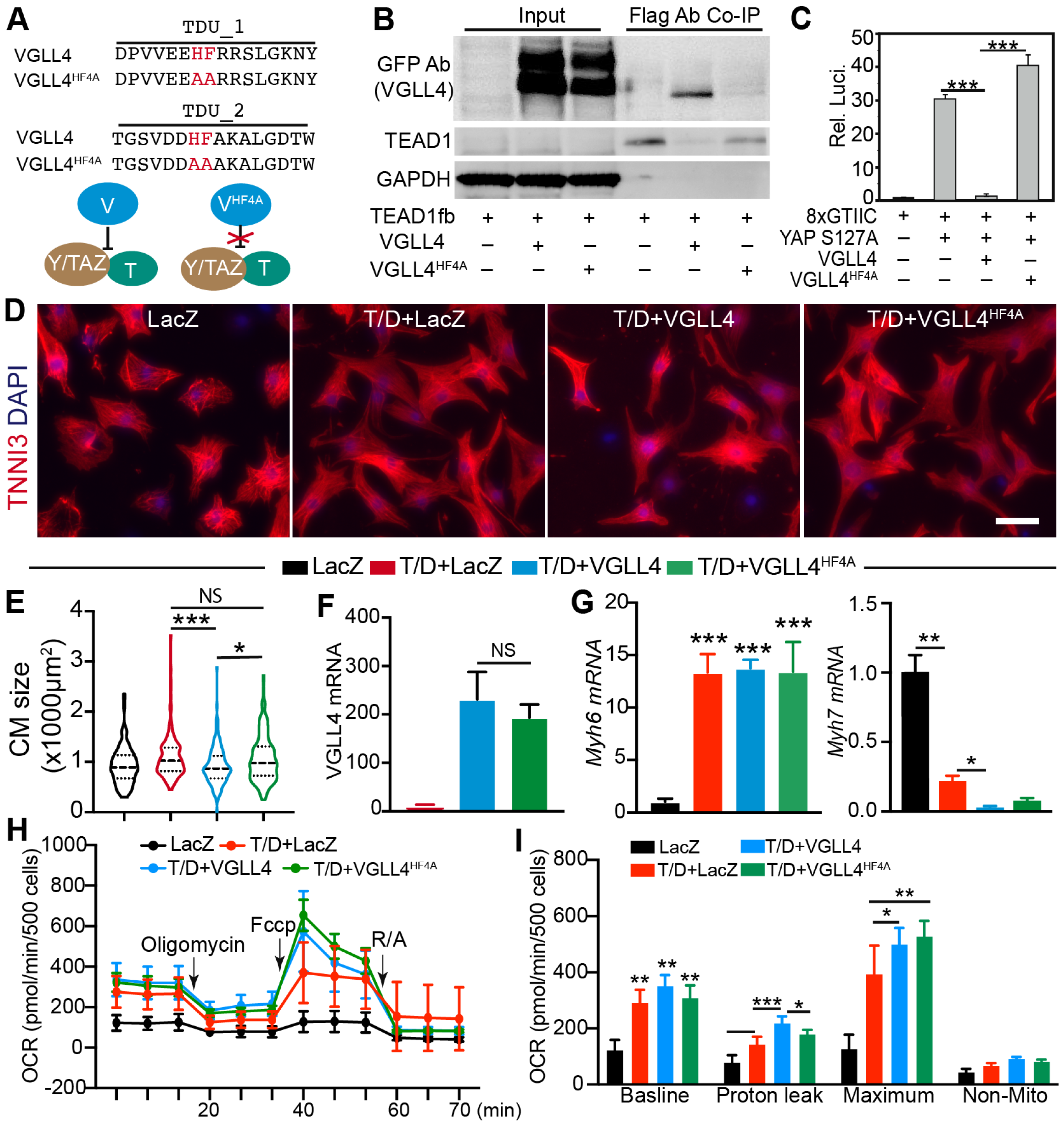 Cells 13 01342 g006 Cells 13 01342 g006