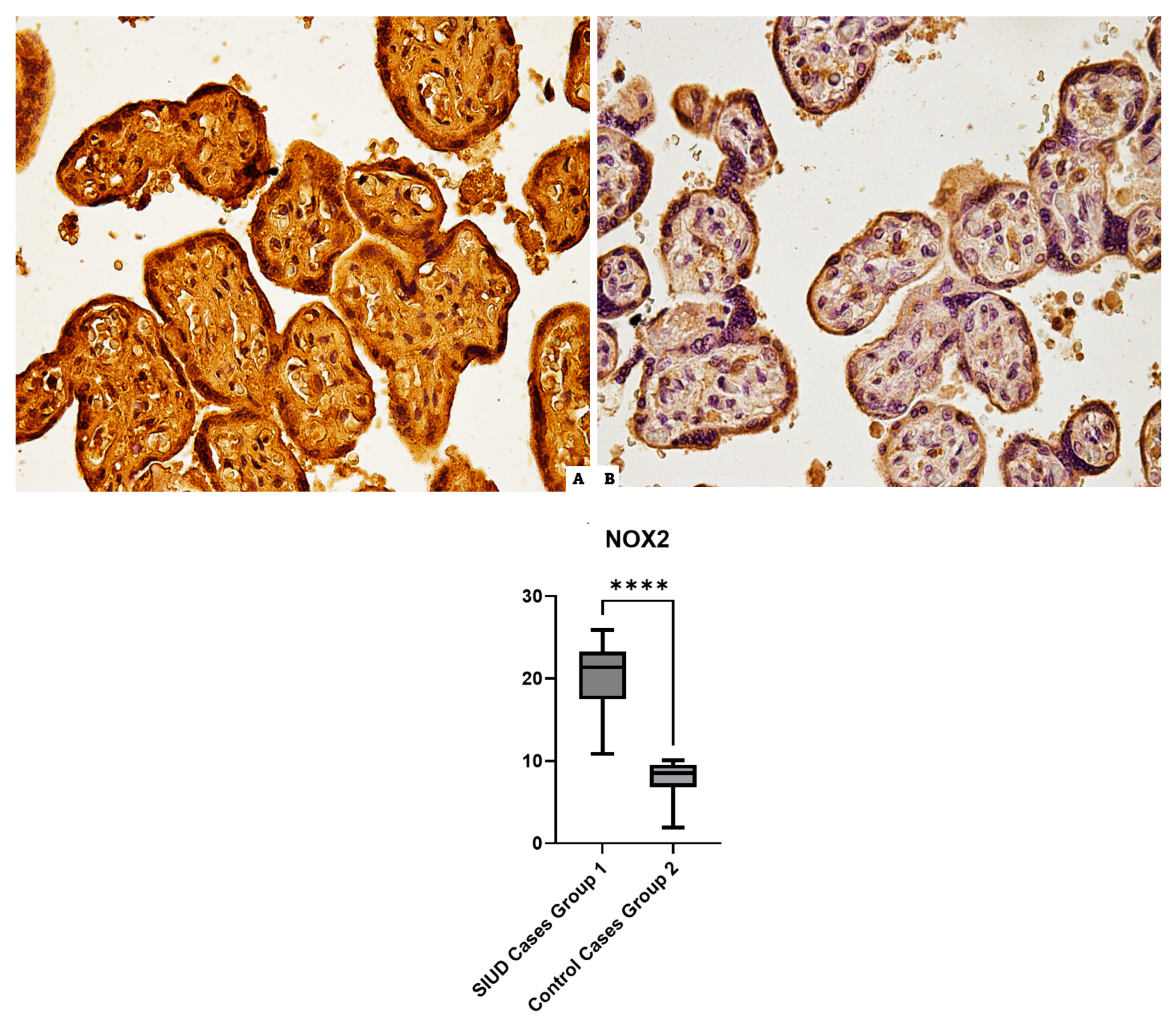 Cells 13 01347 g001 Cells 13 01347 g001