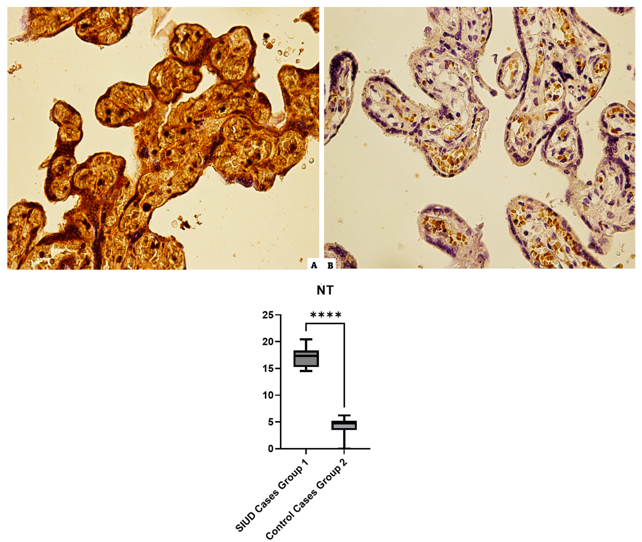 Cells 13 01347 g002 Cells 13 01347 g002