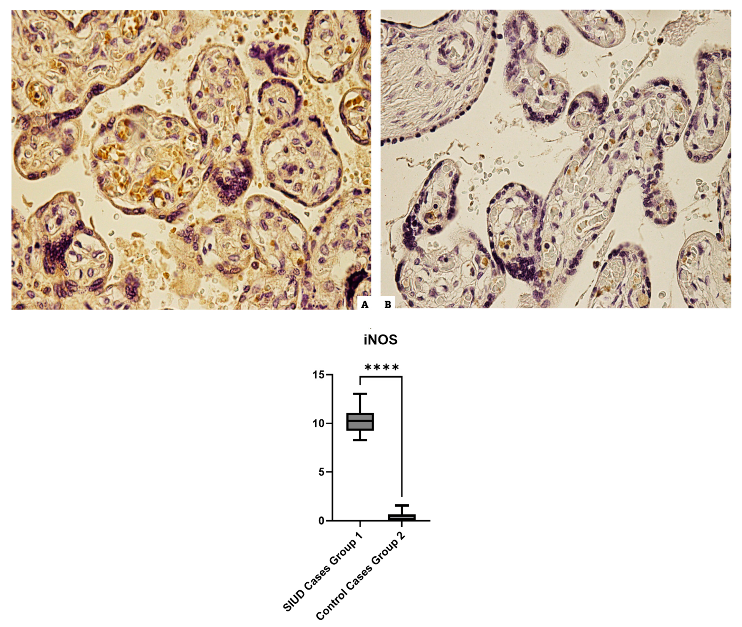 Cells 13 01347 g003 Cells 13 01347 g003