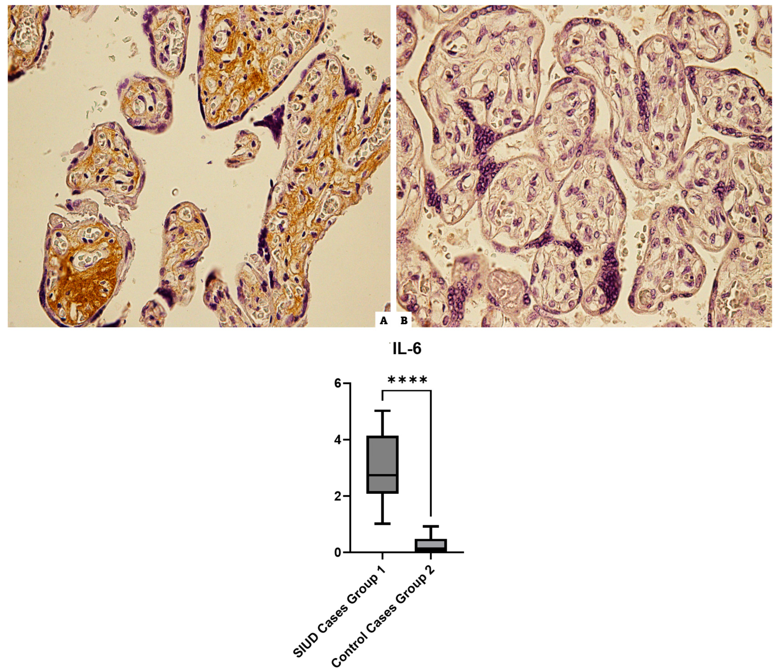 Cells 13 01347 g005 Cells 13 01347 g005