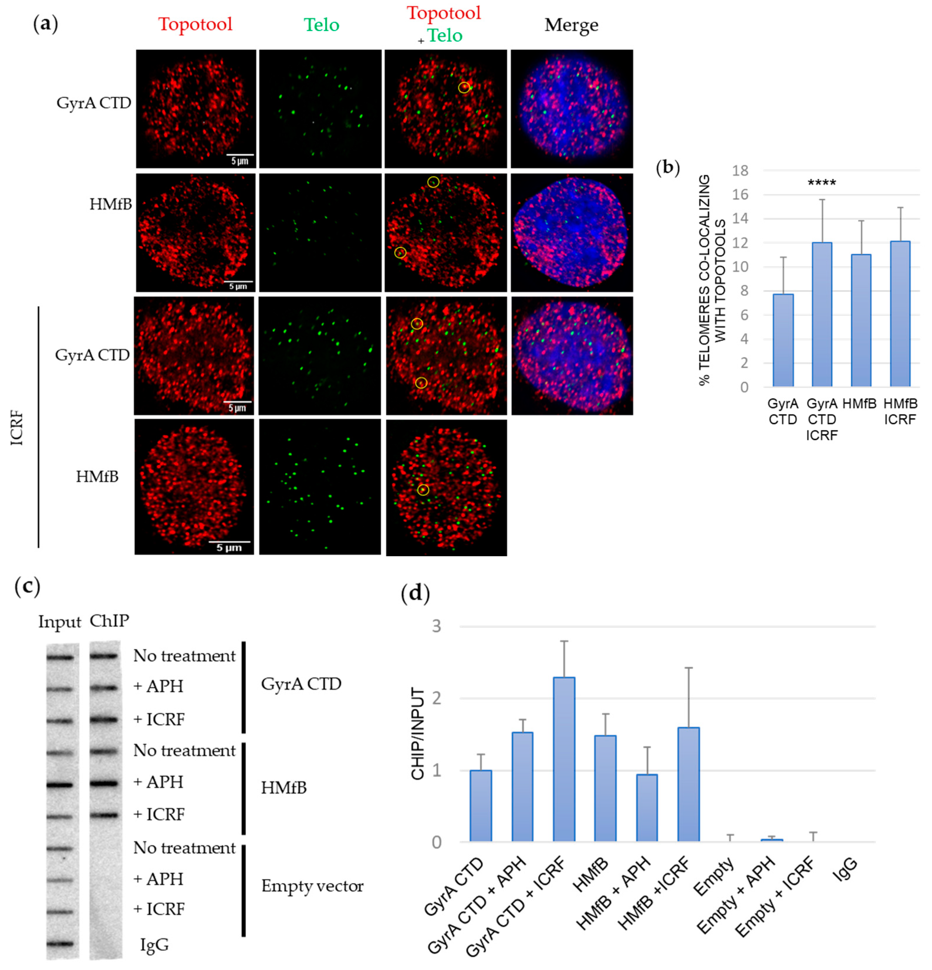 Cells 13 01361 g003 Cells 13 01361 g003