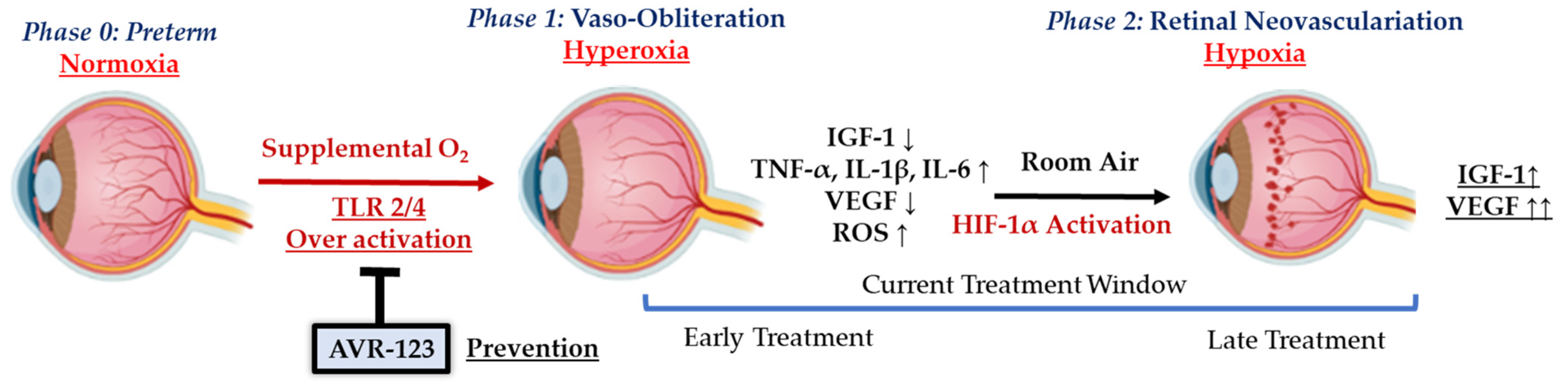 Cells 13 01371 sch001